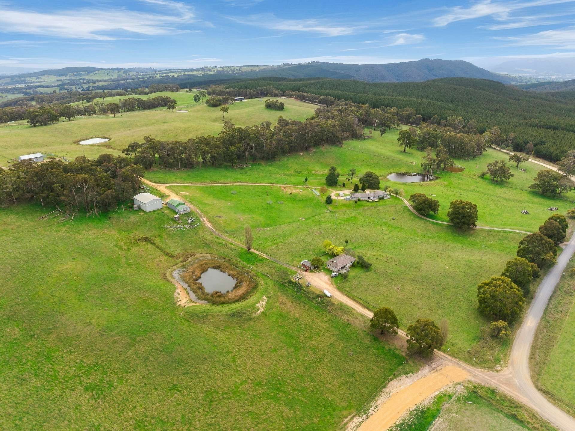 354 Faugha Ballaugha Road, Oberon Auction by Farmbuy.com - image 29