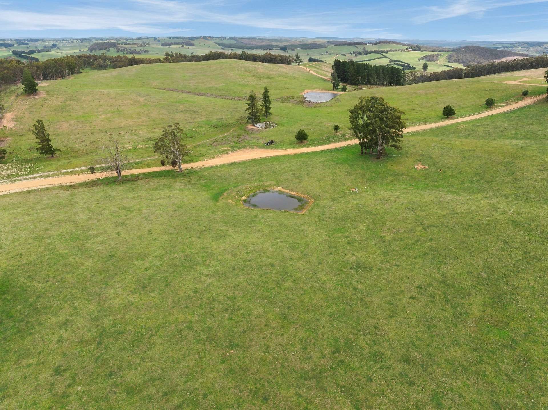 354 Faugha Ballaugha Road, Oberon Auction by Farmbuy.com - image 21