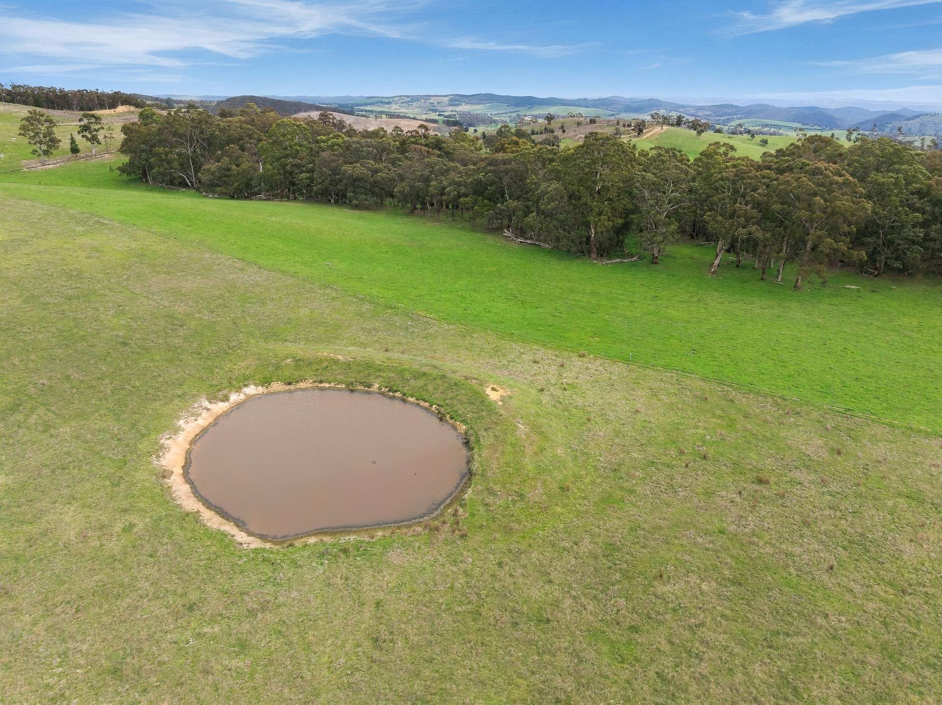 354 Faugha Ballaugha Road, Oberon Auction by Farmbuy.com - image 26