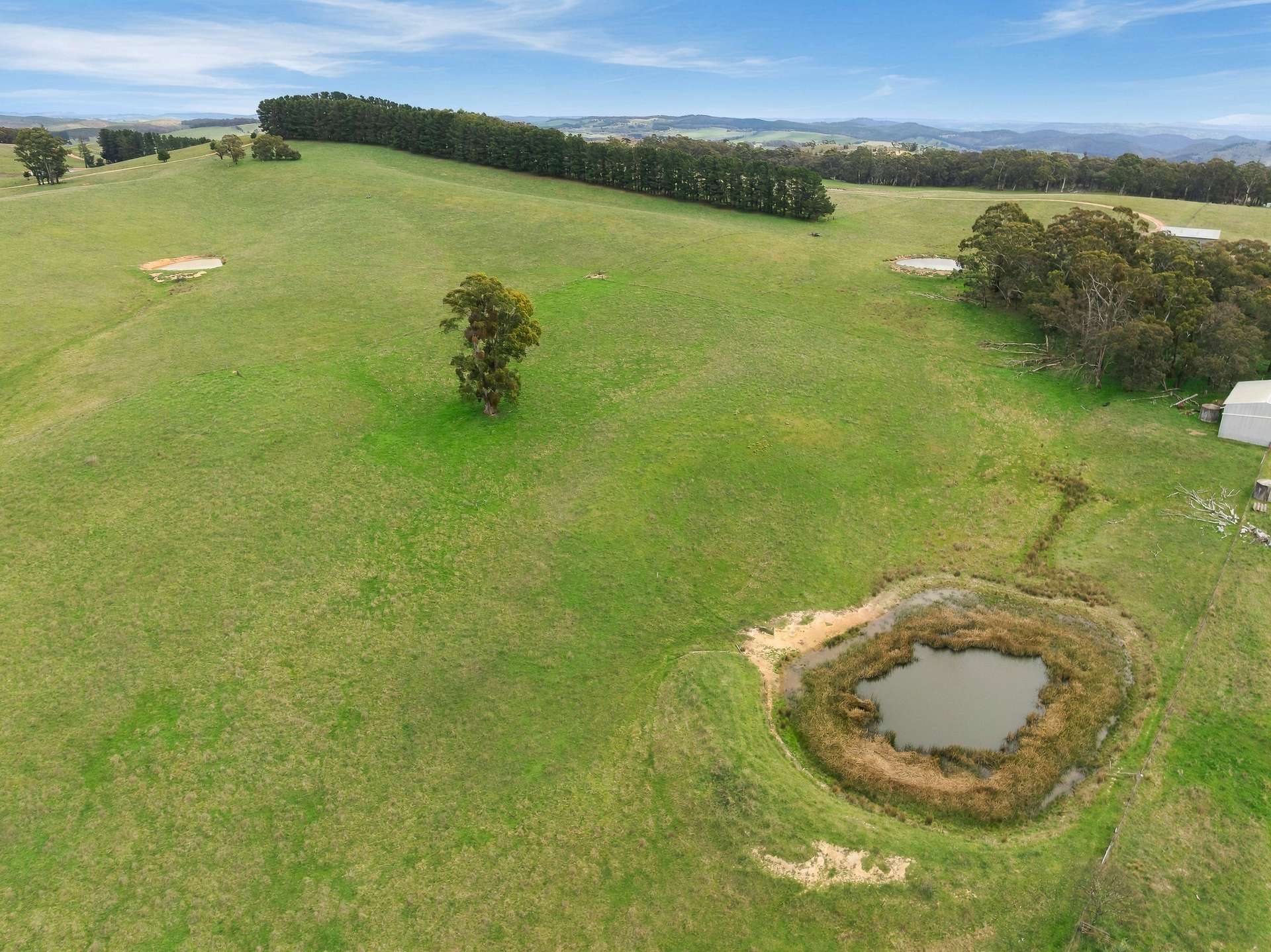 354 Faugha Ballaugha Road, Oberon Auction by Farmbuy.com - image 20