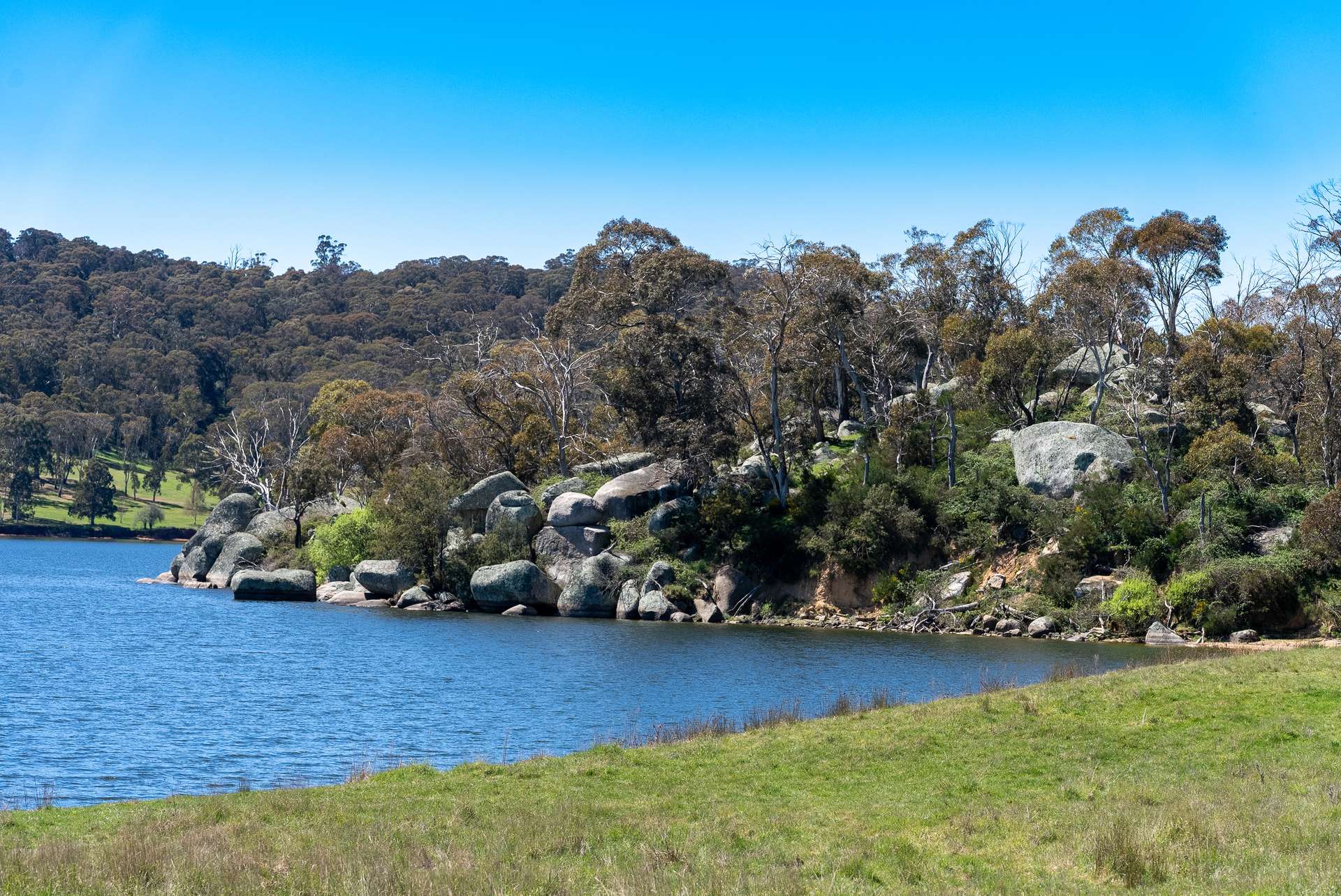 165 Harveys Road, Oberon Auction by Farmbuy.com - image 7