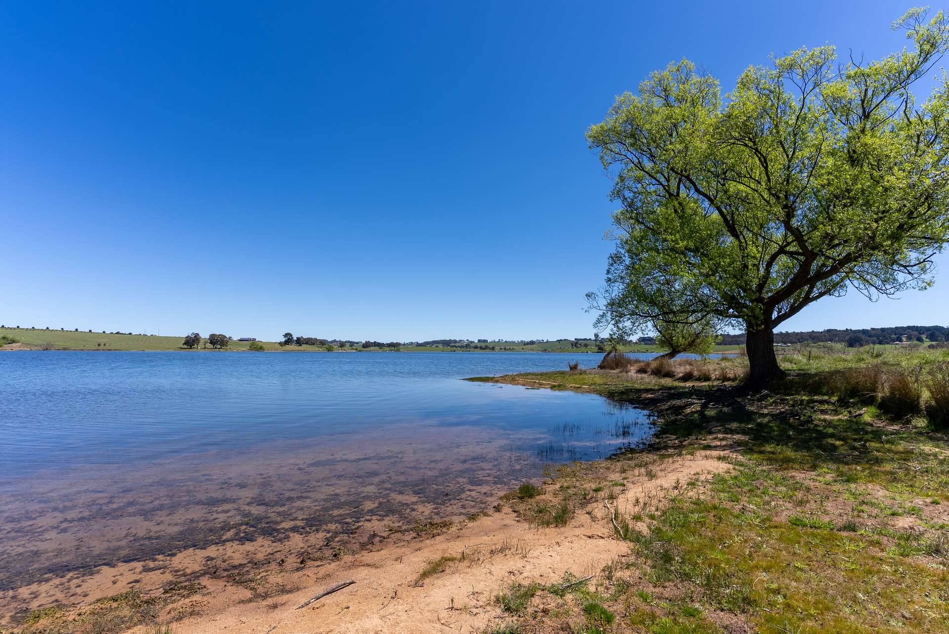 165 Harveys Road, Oberon Auction by Farmbuy.com - image 22