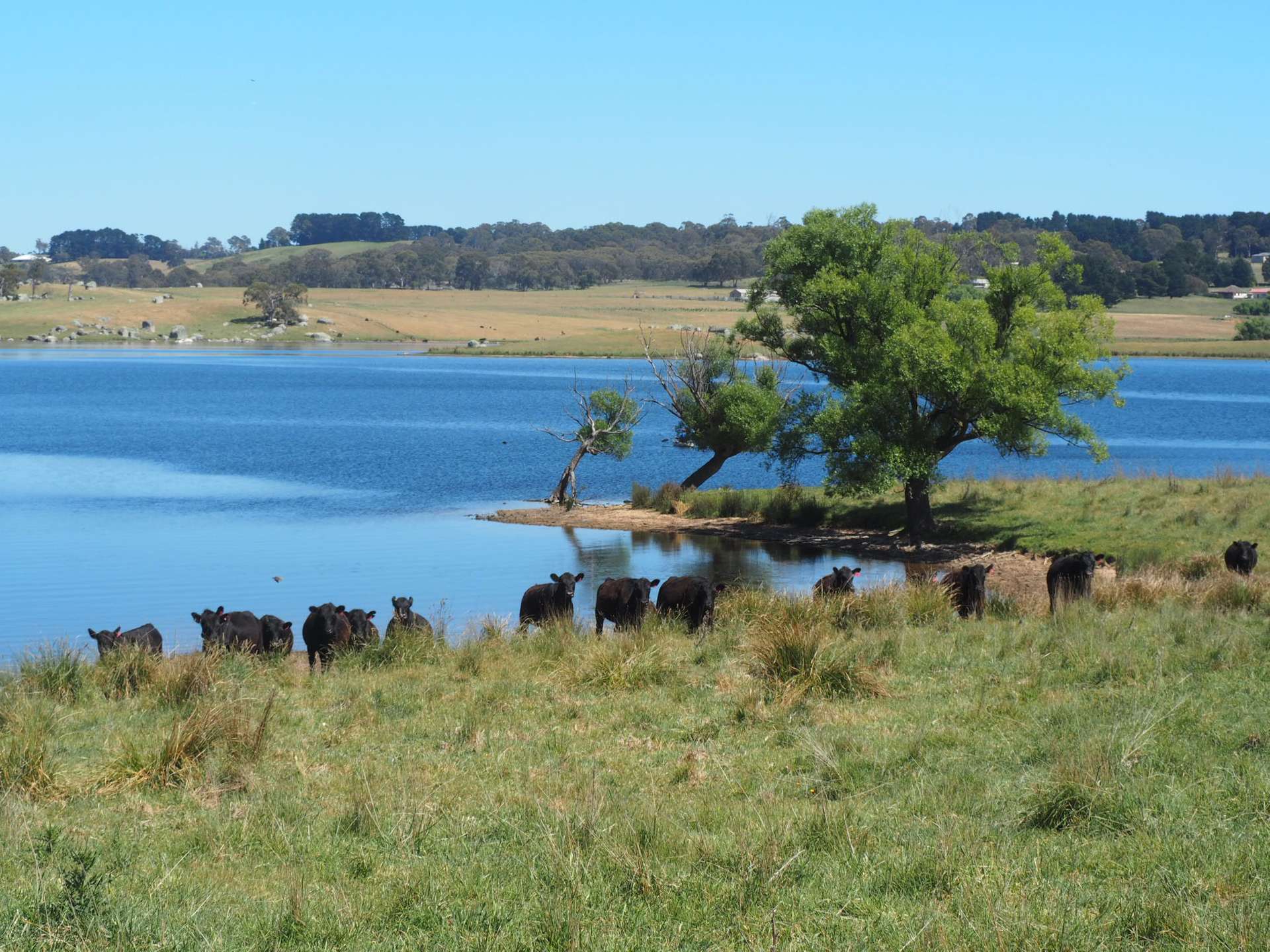 165 Harveys Road, Oberon Auction by Farmbuy.com - image 17