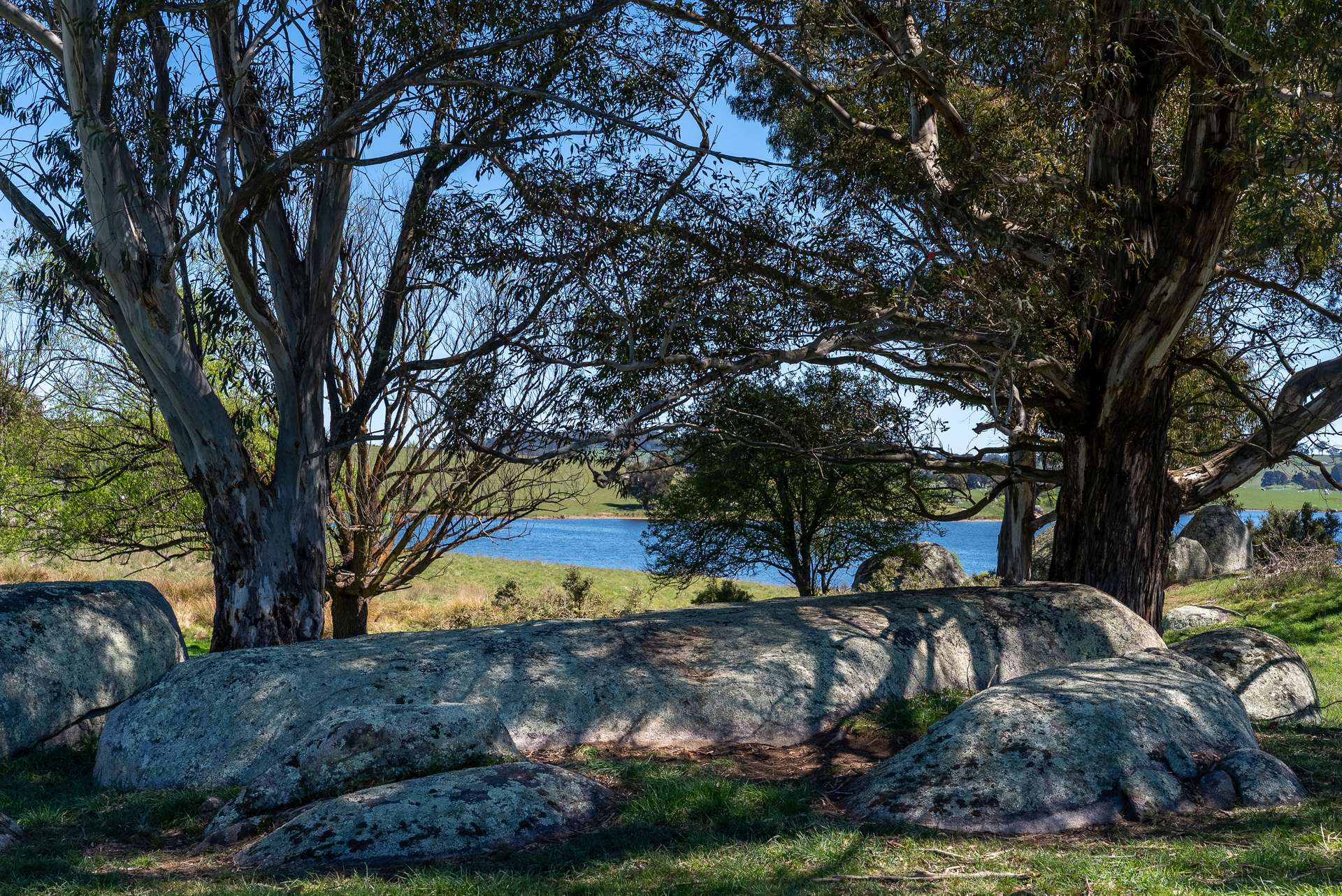 165 Harveys Road, Oberon Auction by Farmbuy.com - image 9
