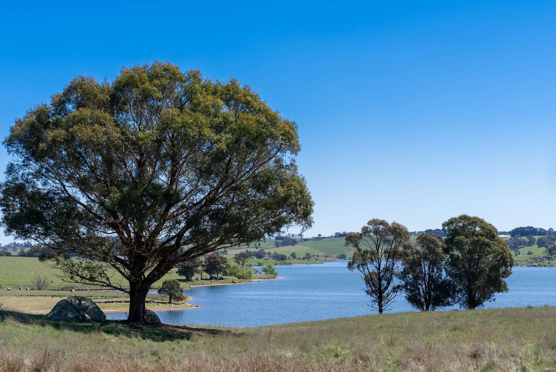 165 Harveys Road, Oberon Auction by Farmbuy.com - image 3