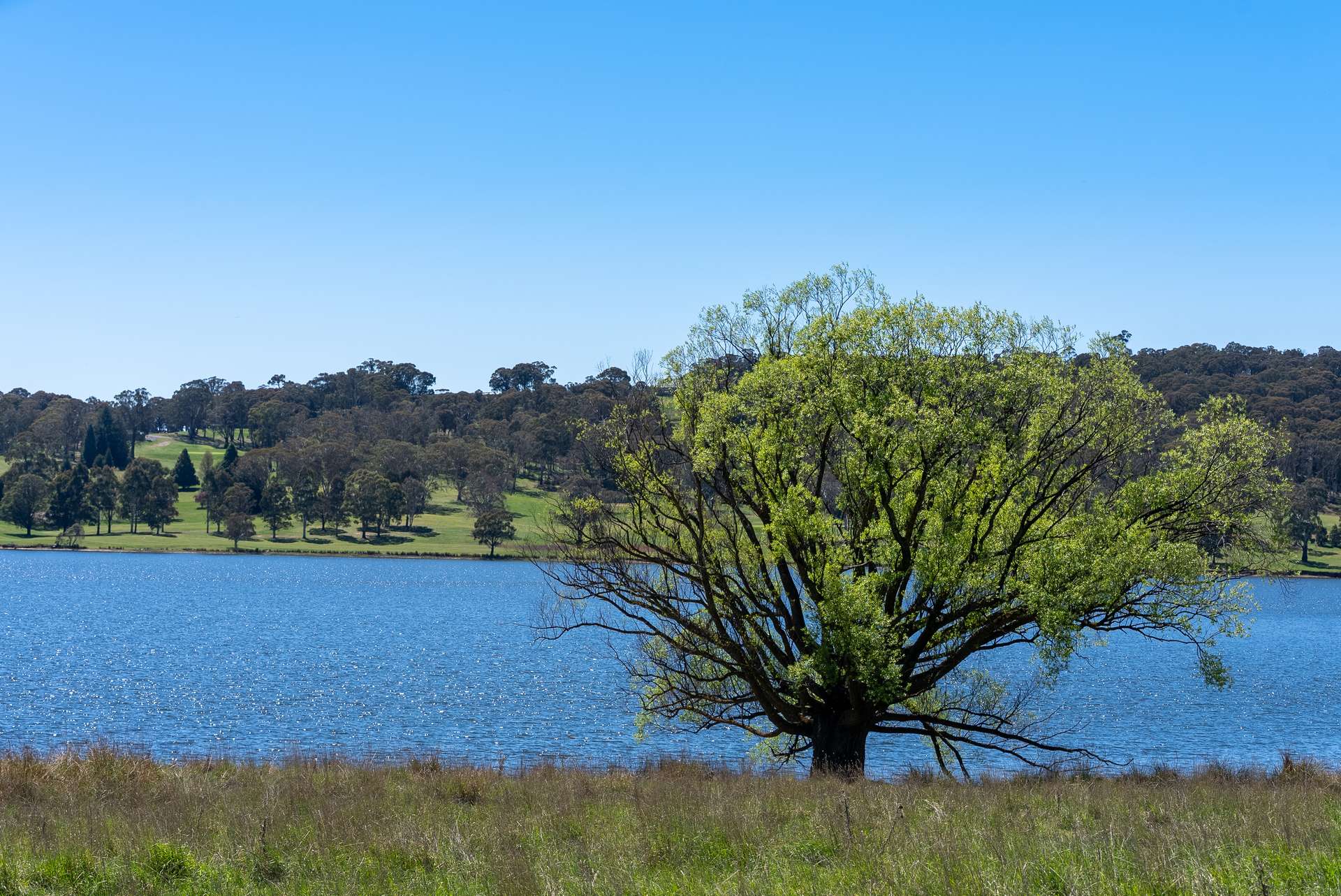 165 Harveys Road, Oberon Auction by Farmbuy.com - image 19