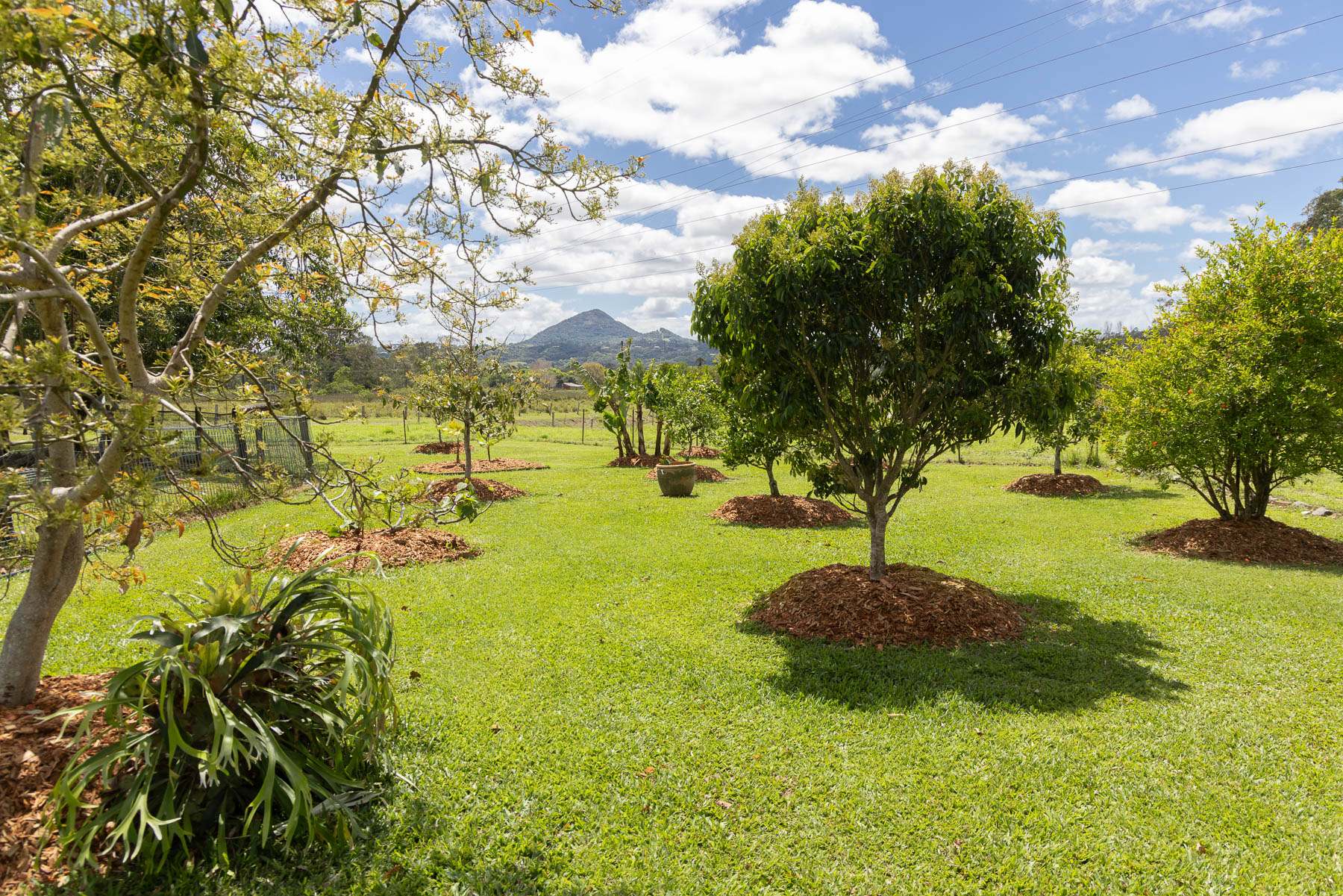 182 Wilsons Lane, Eerwah Vale For Sale by Farmbuy.com - image 25