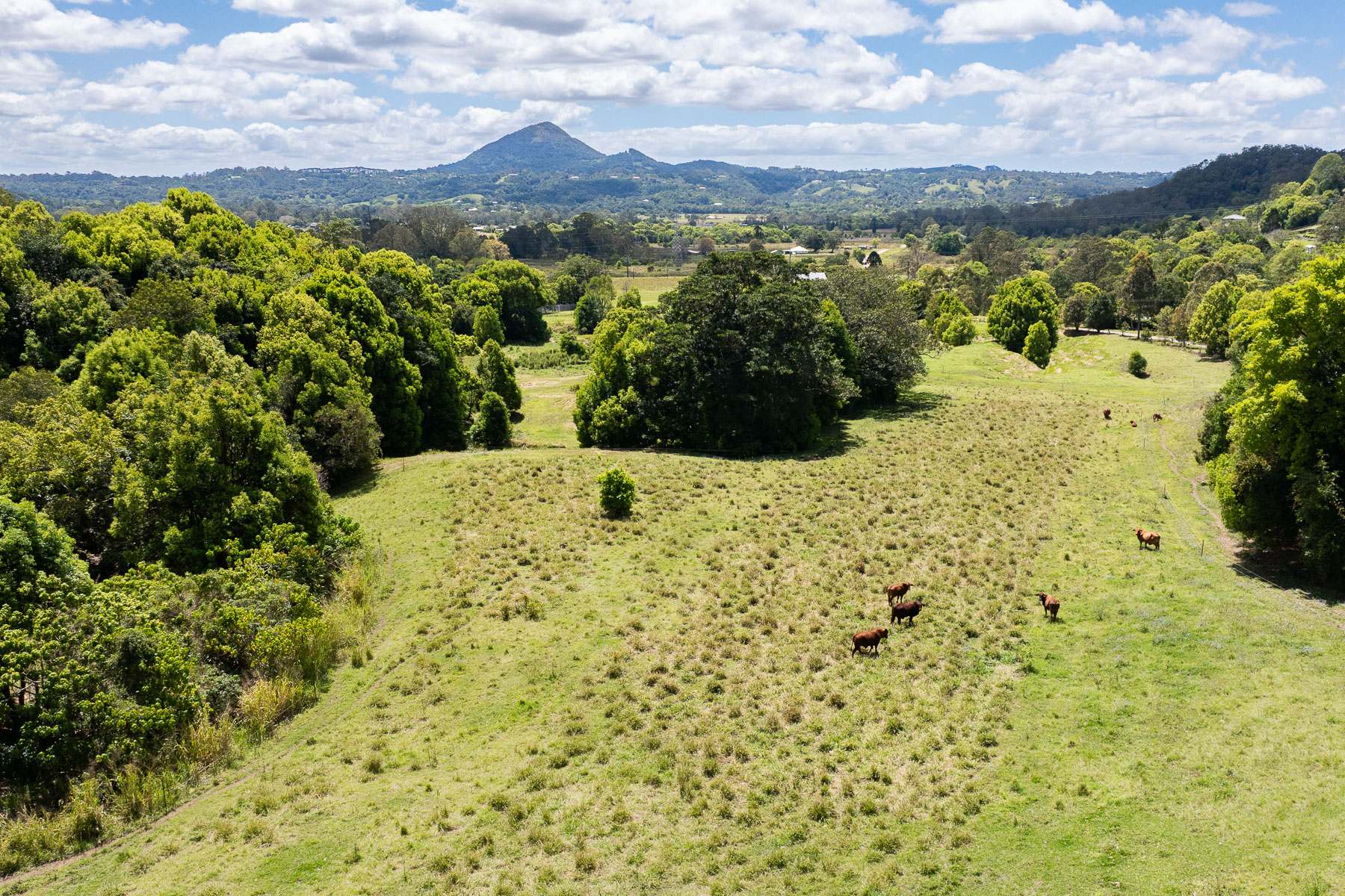 182 Wilsons Lane, Eerwah Vale For Sale by Farmbuy.com - image 29