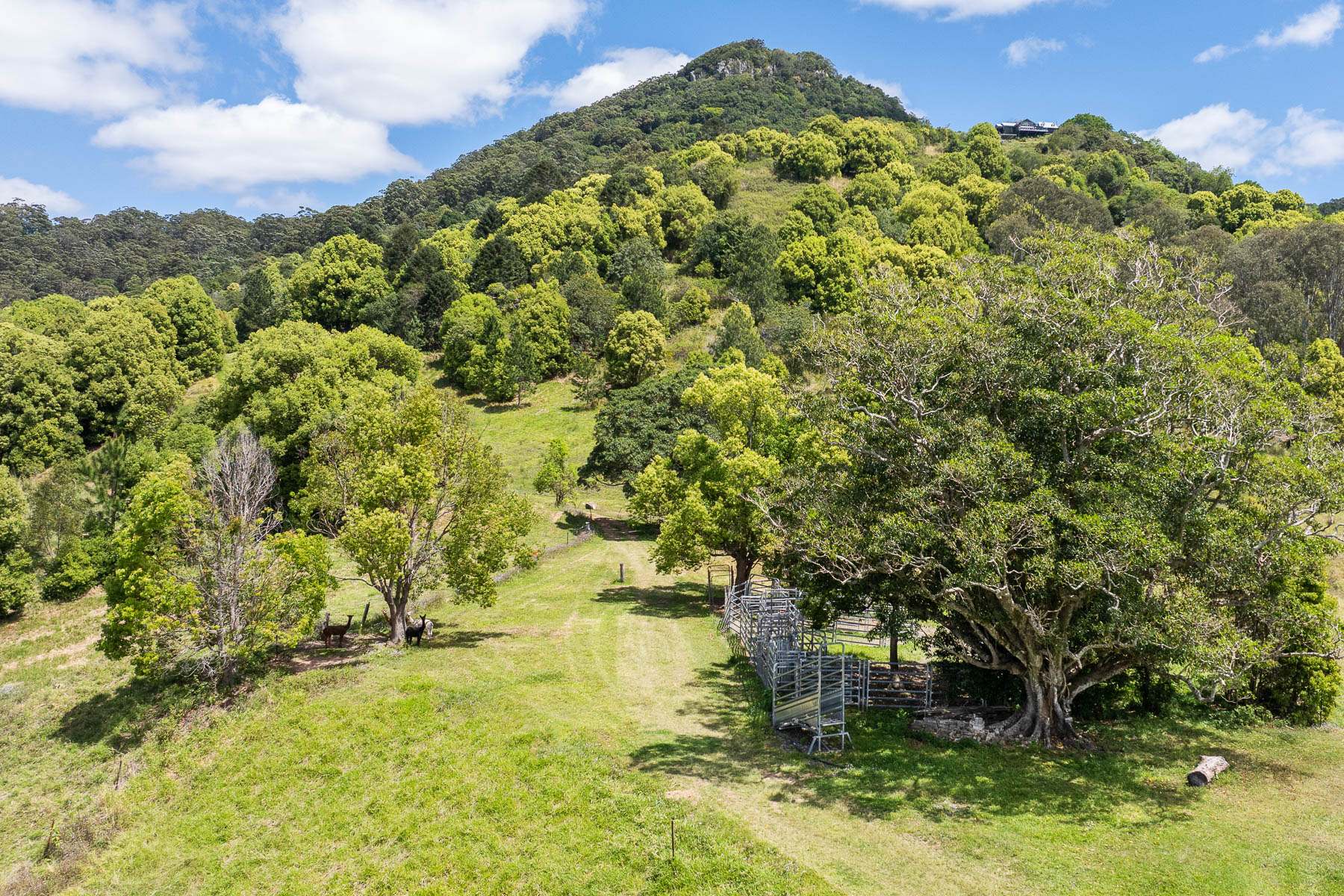 182 Wilsons Lane, Eerwah Vale For Sale by Farmbuy.com - image 28