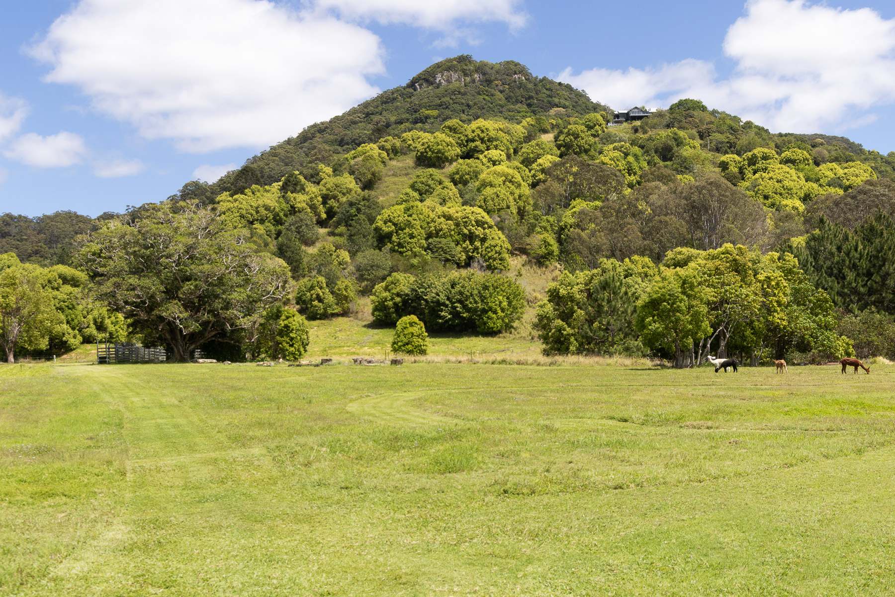 182 Wilsons Lane, Eerwah Vale For Sale by Farmbuy.com - image 26