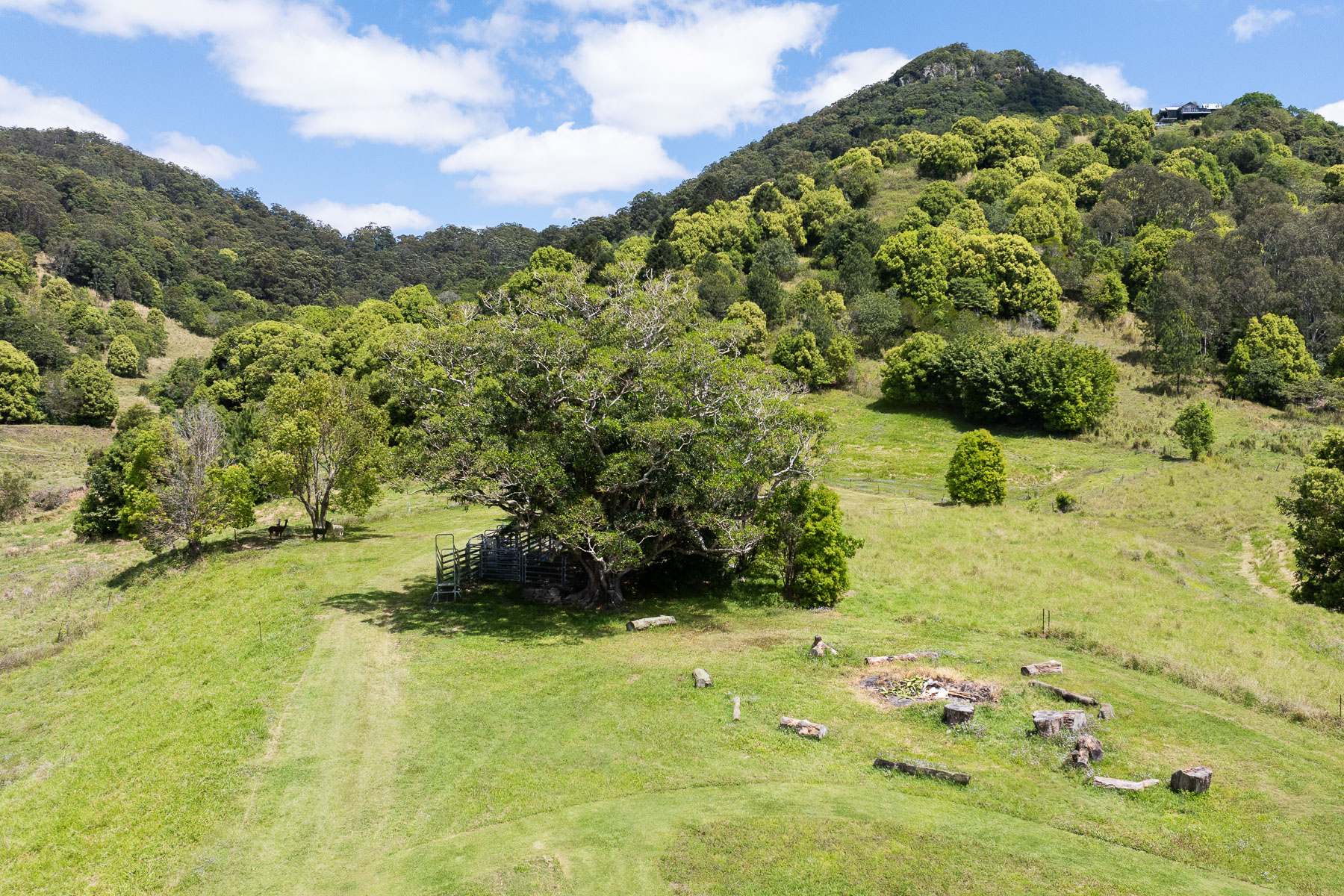 182 Wilsons Lane, Eerwah Vale For Sale by Farmbuy.com - image 27