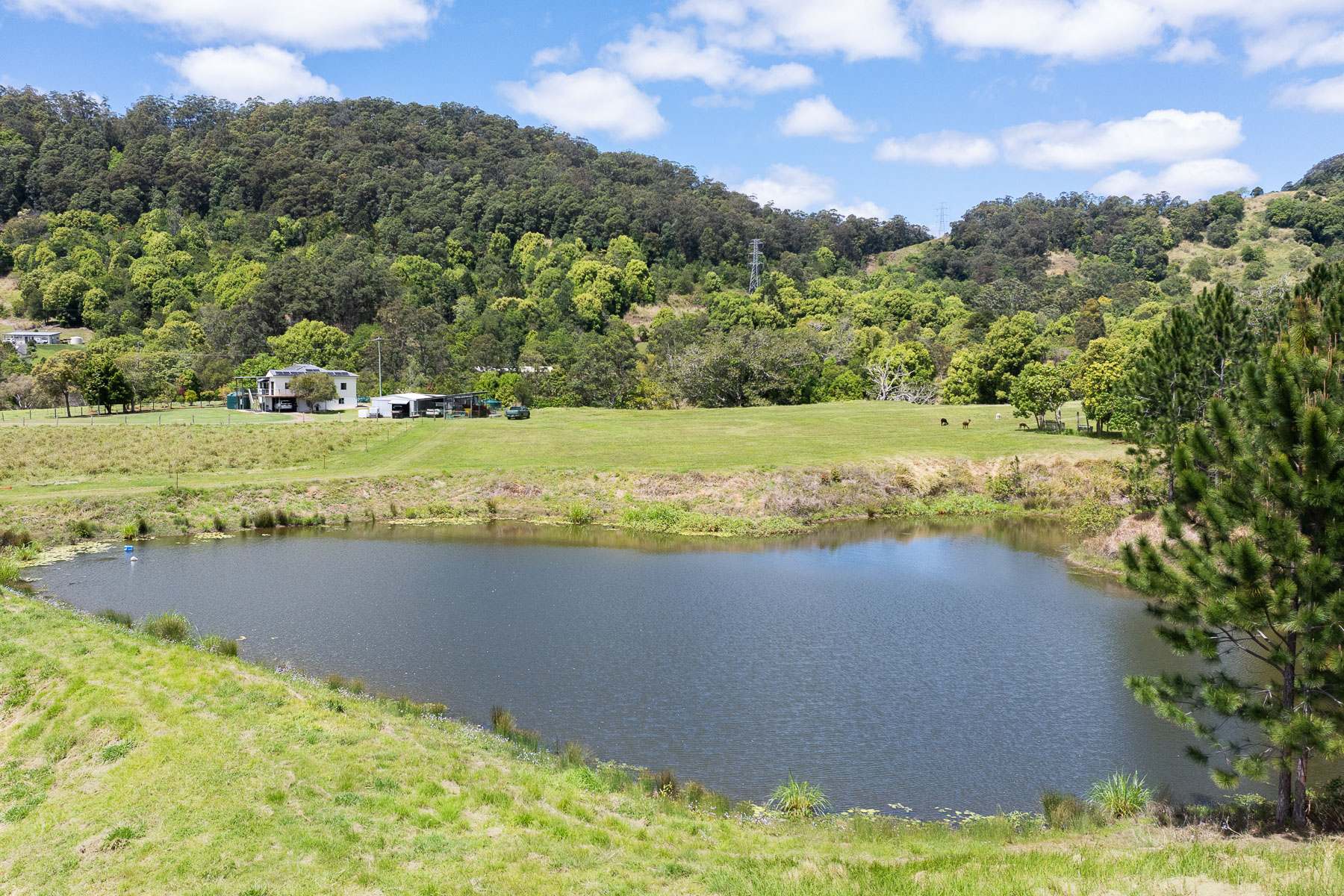 182 Wilsons Lane, Eerwah Vale For Sale by Farmbuy.com - image 23