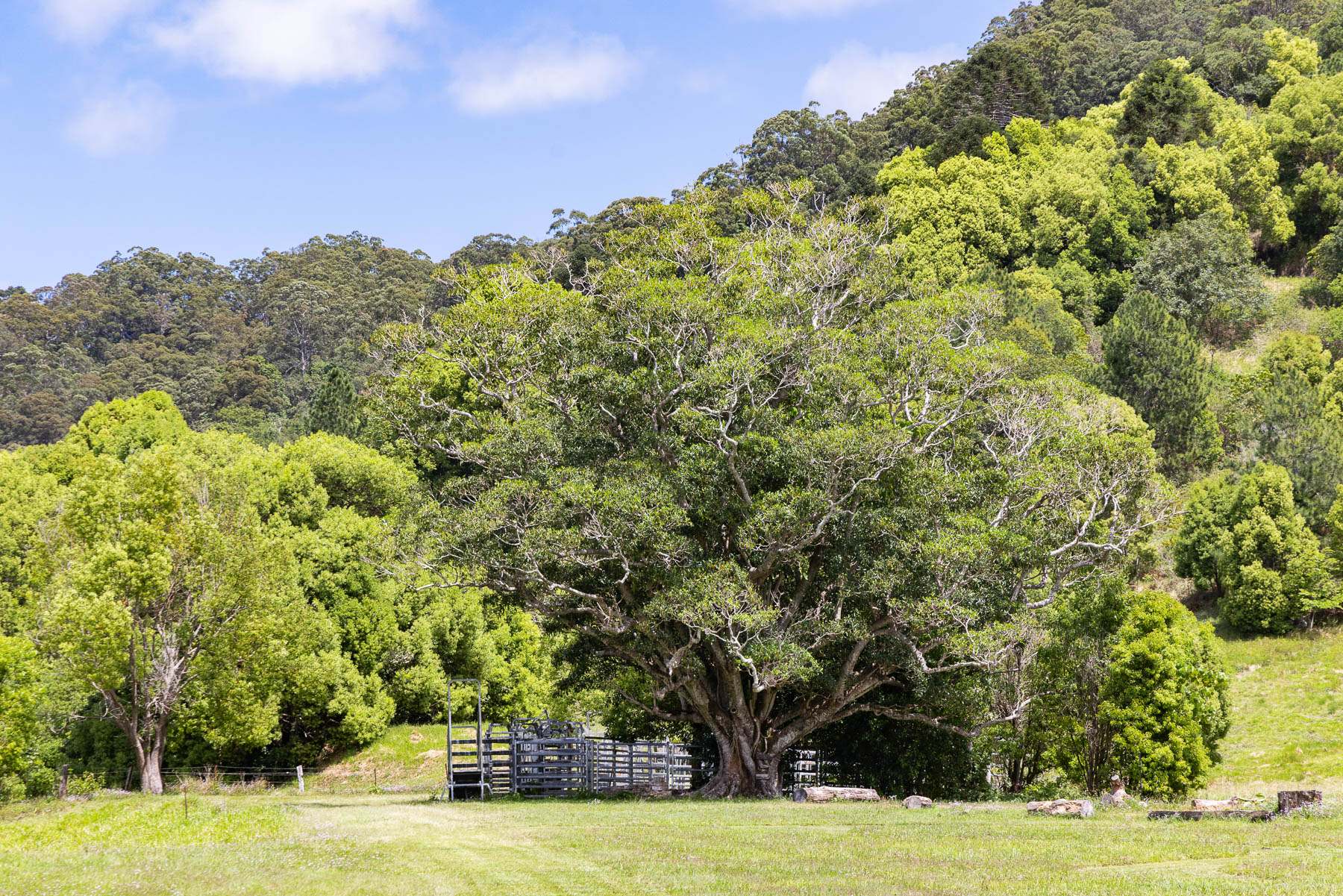 182 Wilsons Lane, Eerwah Vale For Sale by Farmbuy.com - image 32