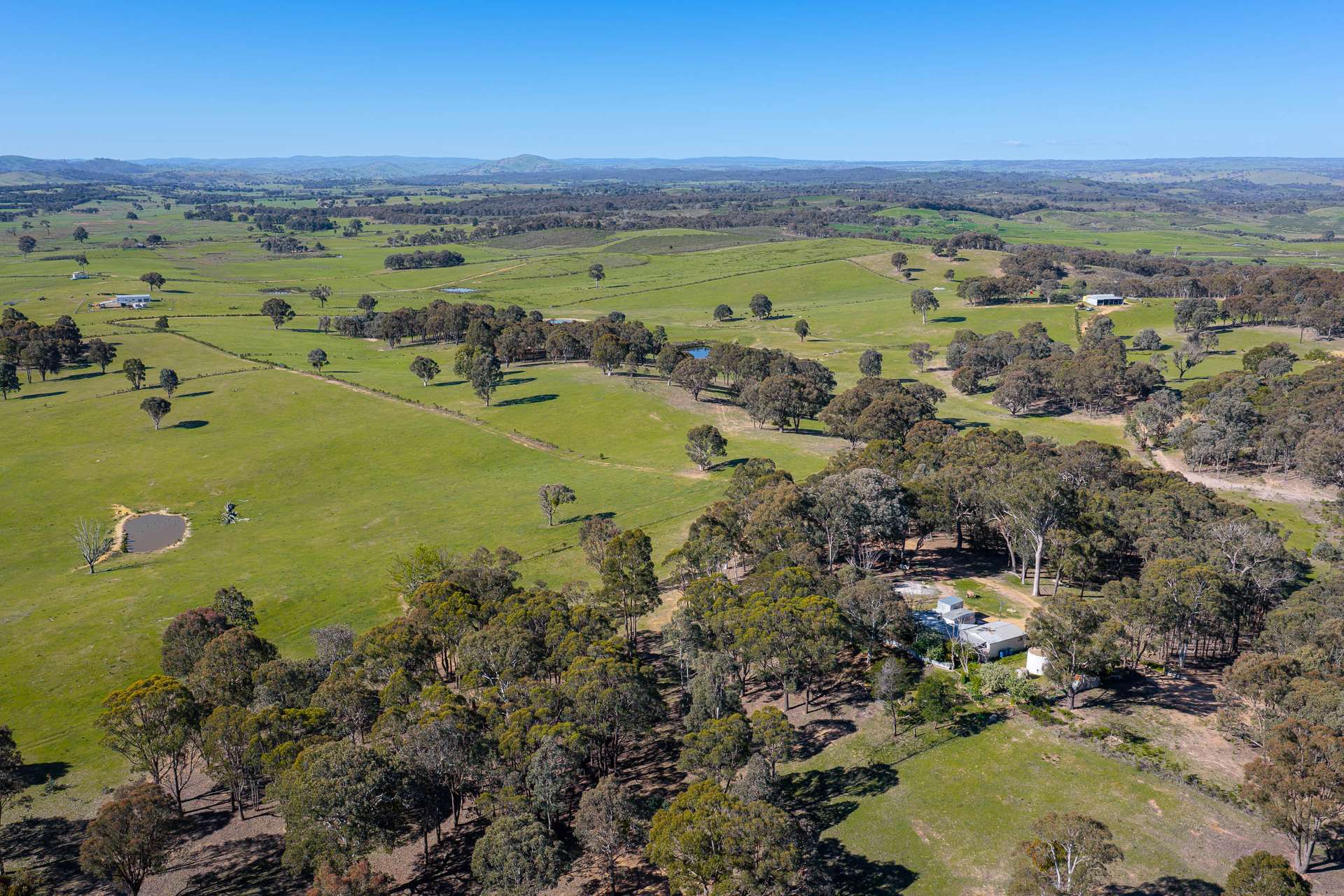 1168 Maryvale Road Bevendale Via, Gunning Auction by Farmbuy.com - image 1