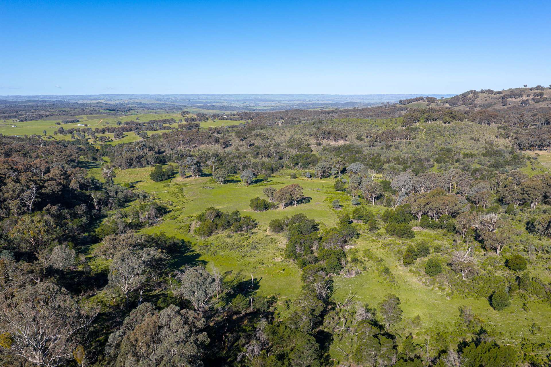1168 Maryvale Road Bevendale Via, Gunning Auction by Farmbuy.com - image 14