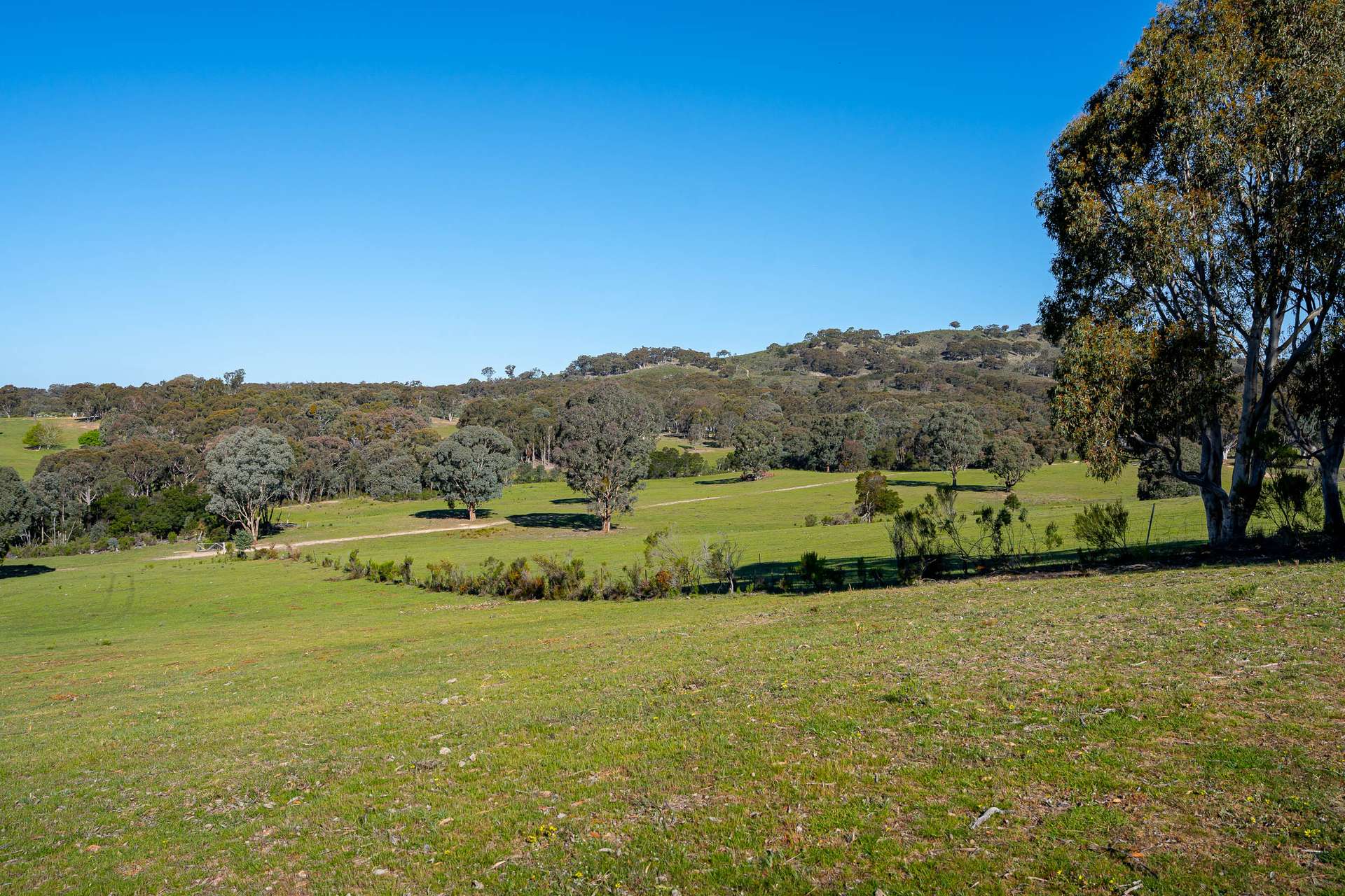 1168 Maryvale Road Bevendale Via, Gunning Auction by Farmbuy.com - image 13