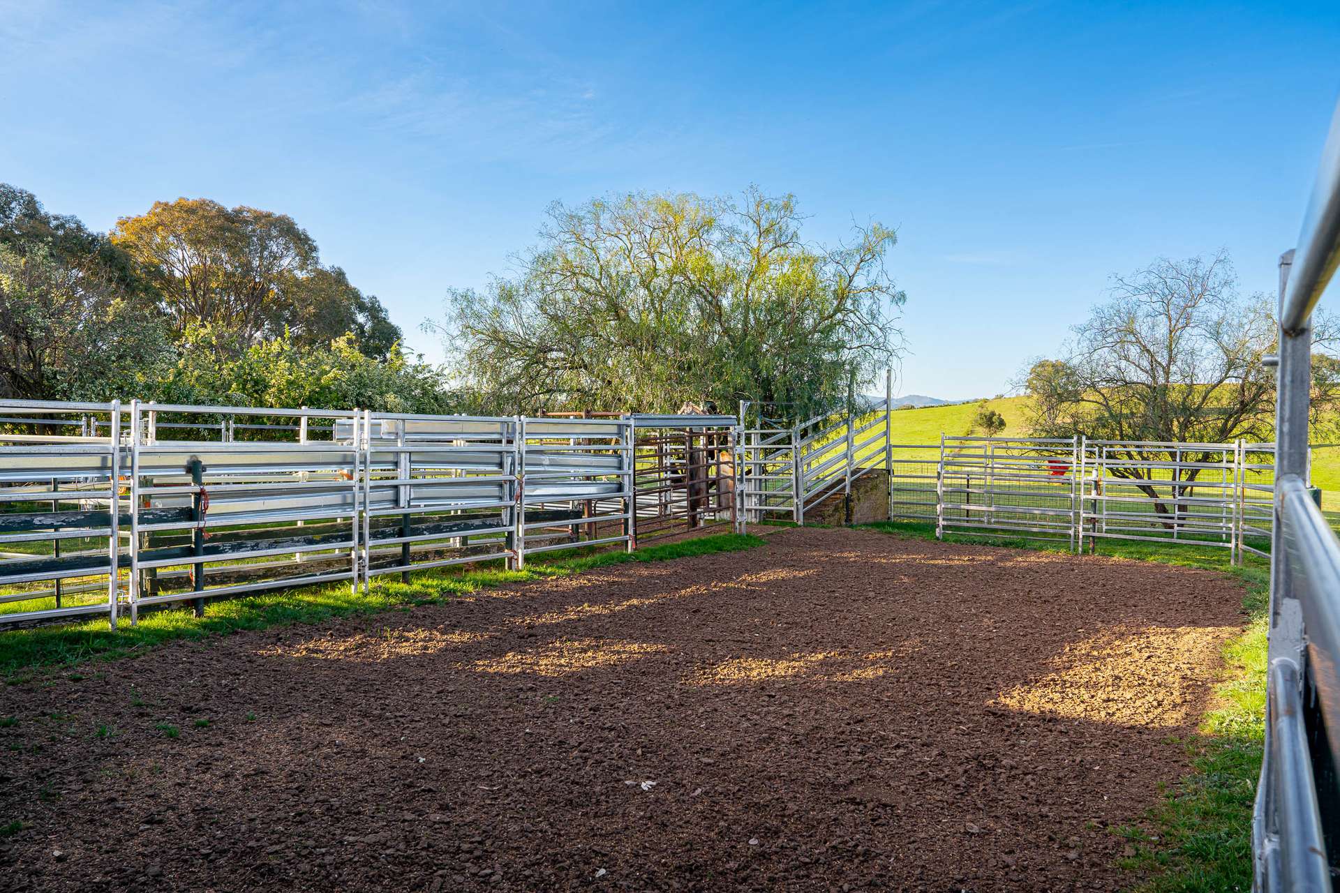 1168 Maryvale Road Bevendale Via, Gunning Auction by Farmbuy.com - image 6