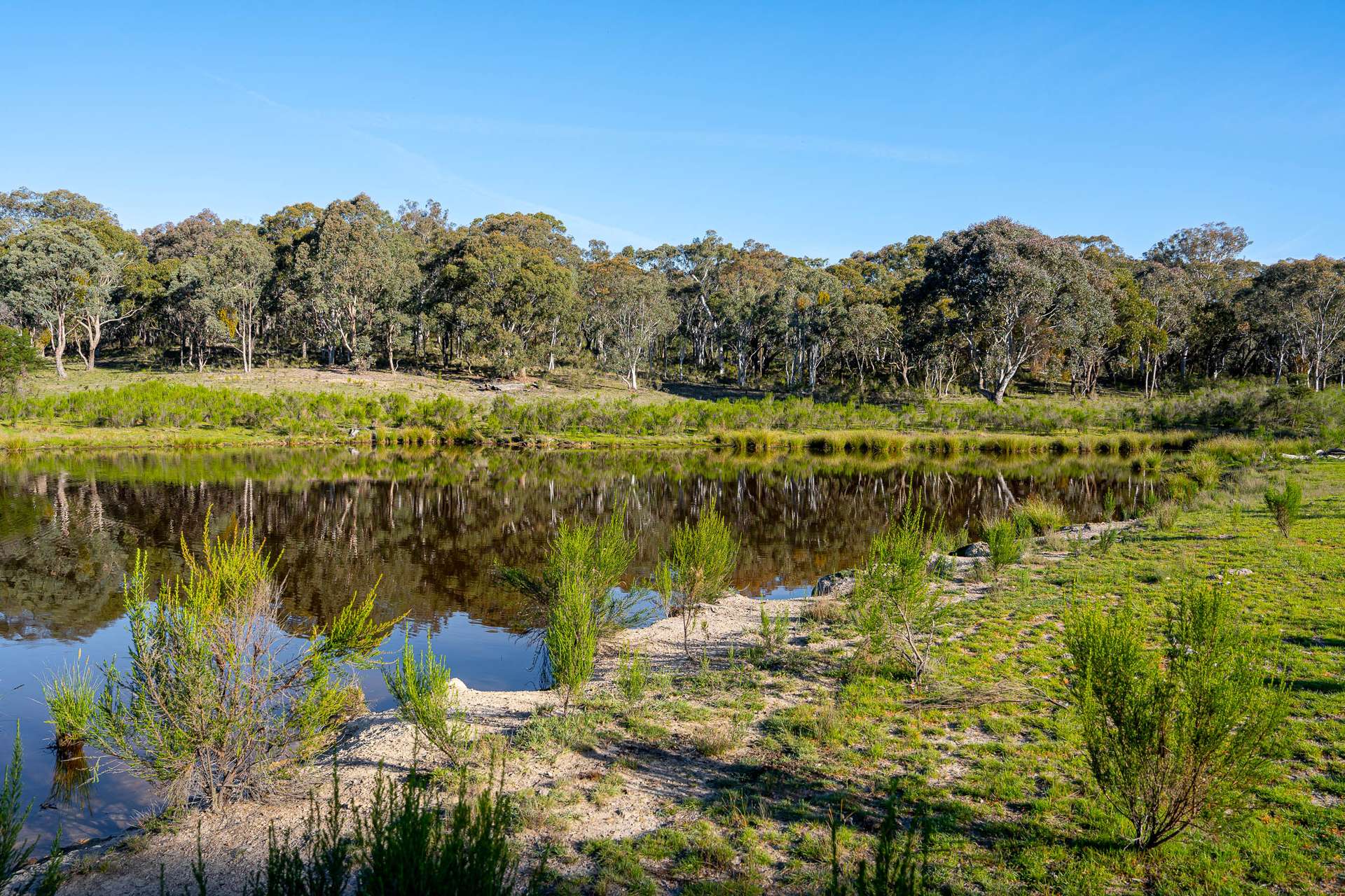 1168 Maryvale Road Bevendale Via, Gunning Auction by Farmbuy.com - image 11