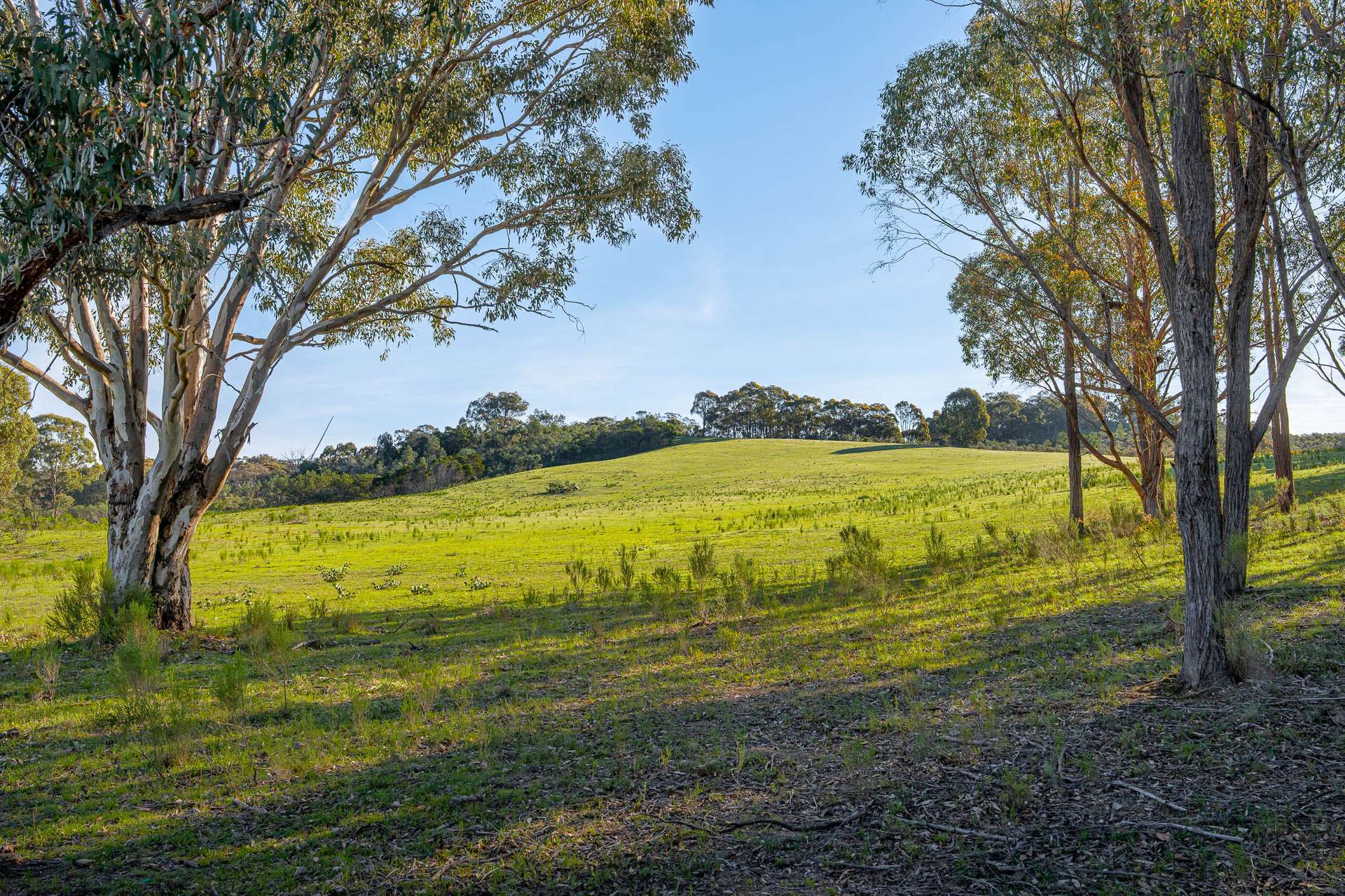 1168 Maryvale Road Bevendale Via, Gunning Auction by Farmbuy.com - image 12