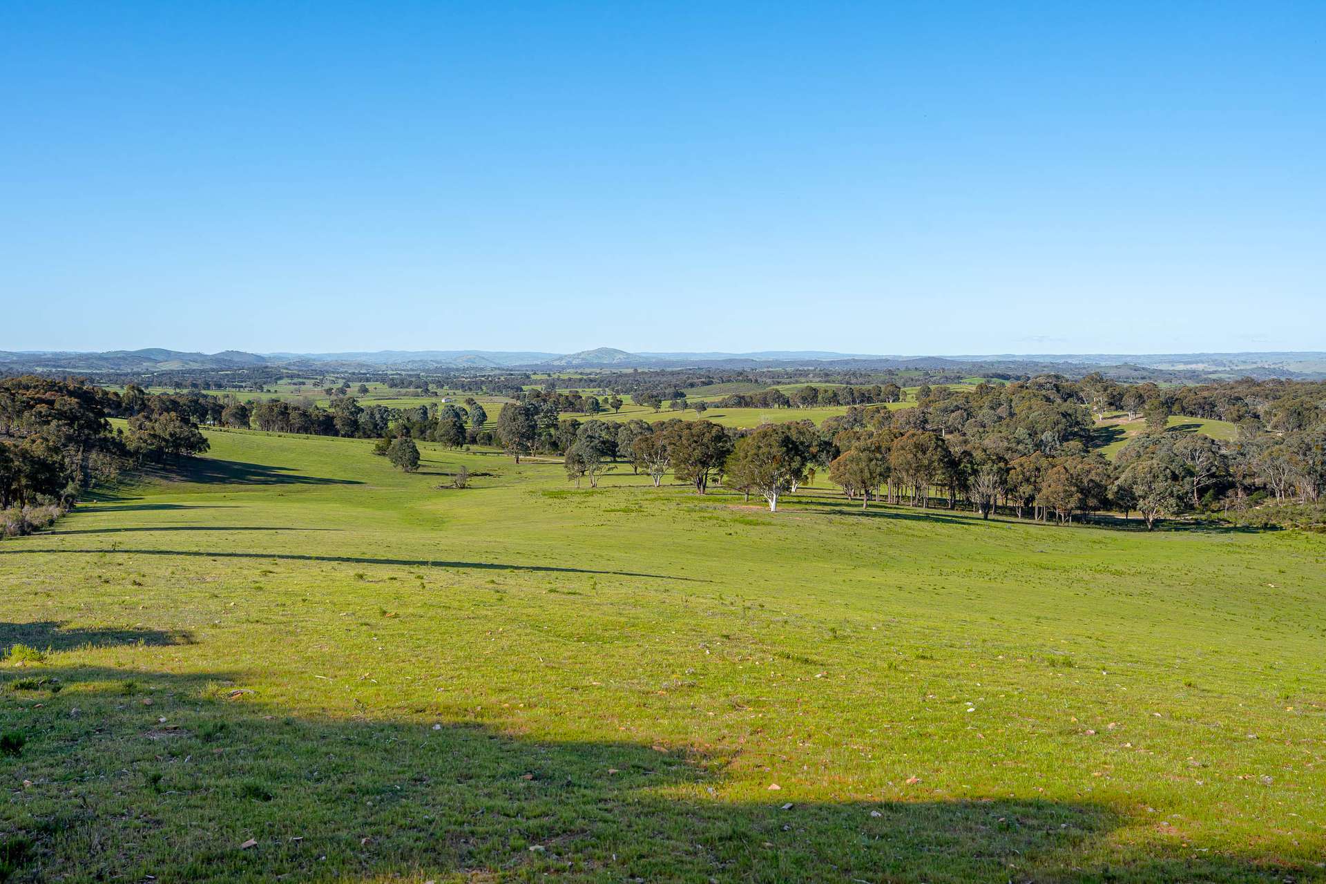 1168 Maryvale Road Bevendale Via, Gunning Auction by Farmbuy.com - image 15