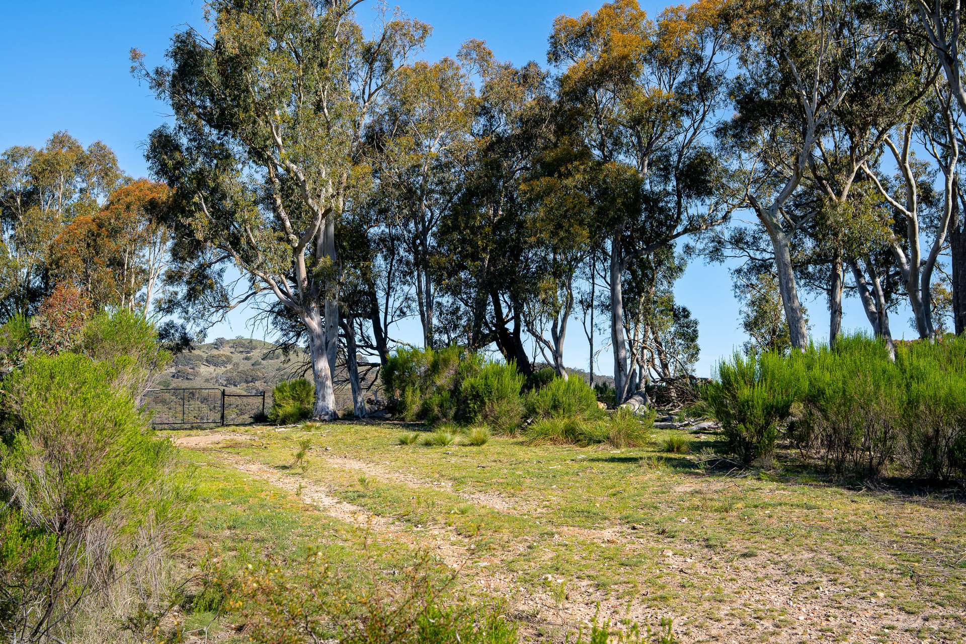 1168 Maryvale Road Bevendale Via, Gunning Auction by Farmbuy.com - image 10