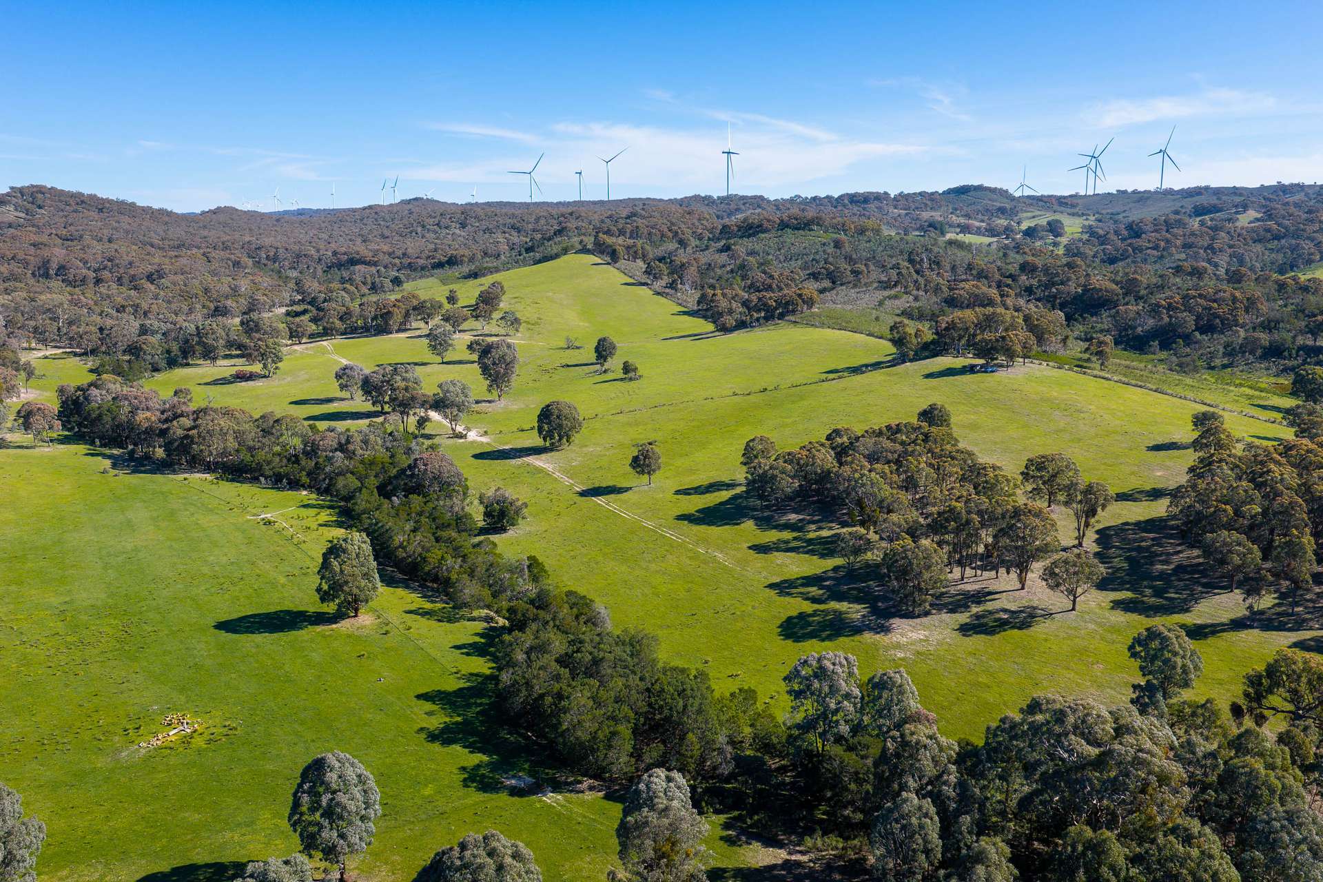 1168 Maryvale Road Bevendale Via, Gunning Auction by Farmbuy.com - image 8