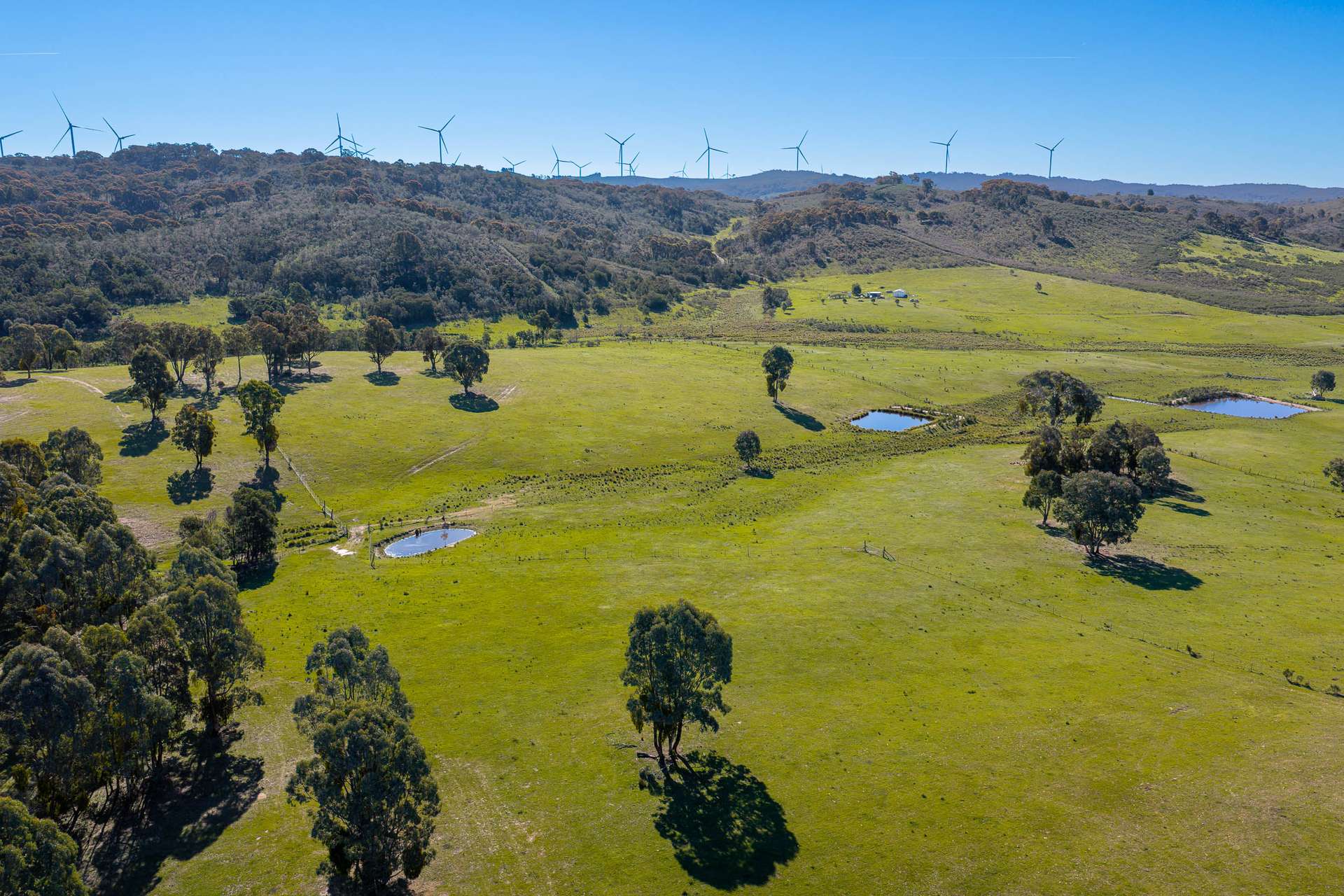 1168 Maryvale Road Bevendale Via, Gunning Auction by Farmbuy.com - image 2