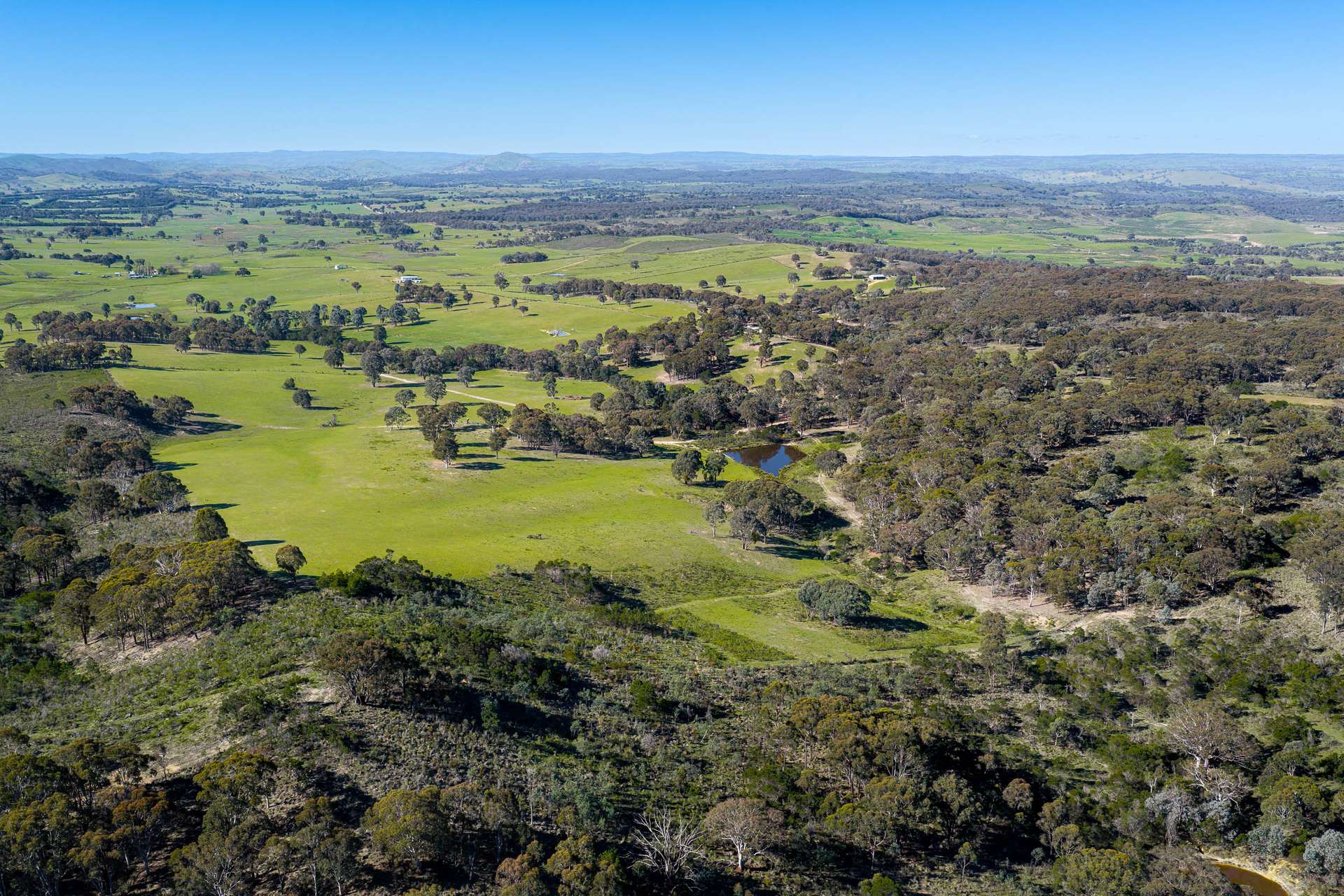 1168 Maryvale Road Bevendale Via, Gunning Auction by Farmbuy.com - image 7