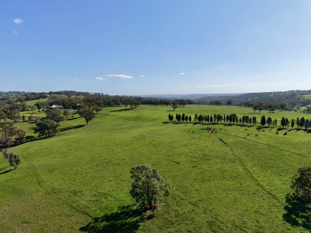 "Willunga" 700 Willunga Road, Cassilis NSW 2329