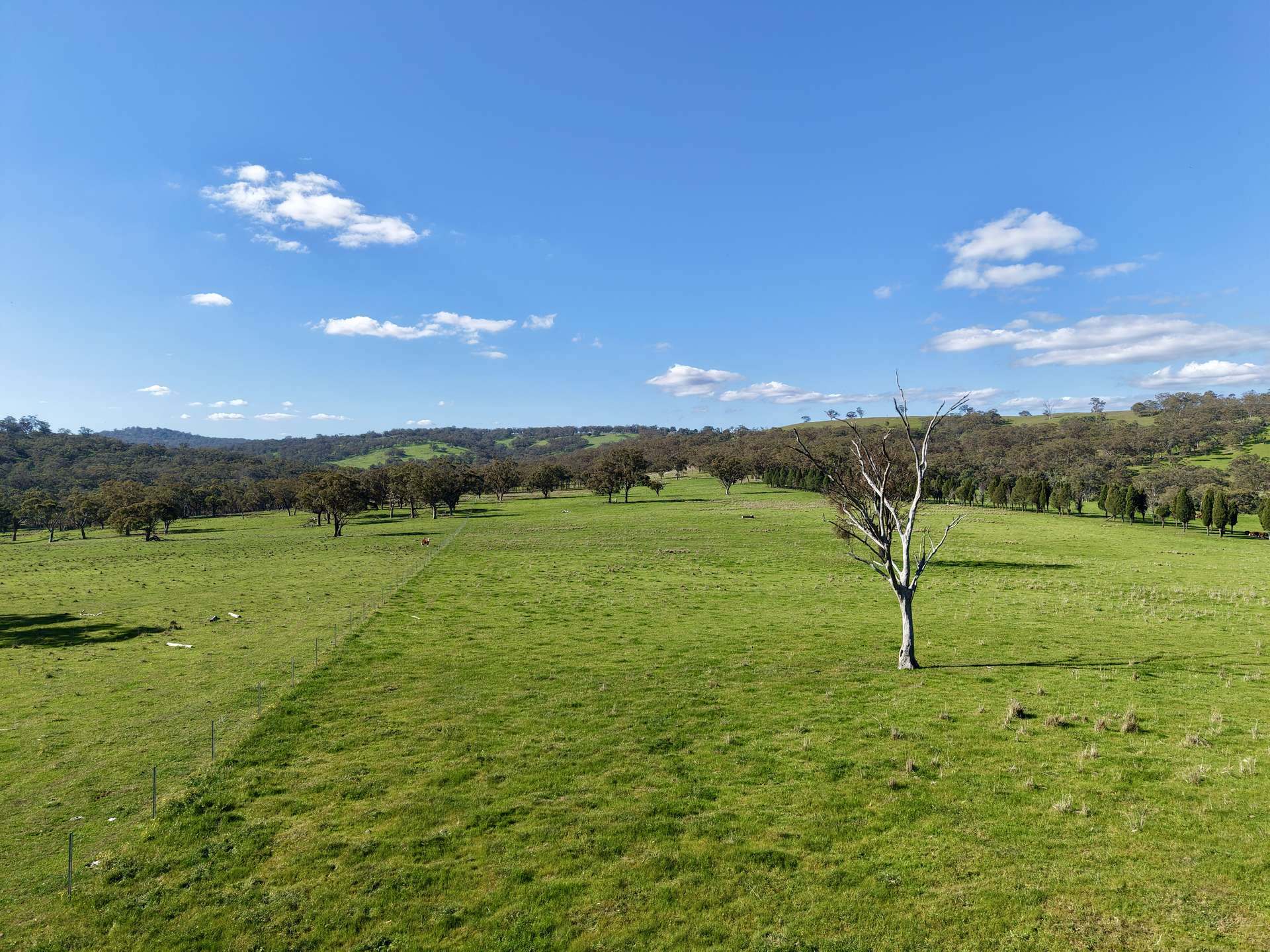 "Willunga" 700 Willunga Road, Cassilis For Sale by Farmbuy.com - image 21
