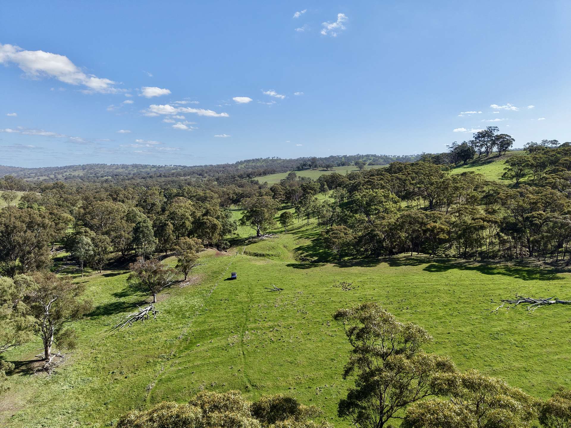 "Willunga" 700 Willunga Road, Cassilis For Sale by Farmbuy.com - image 14