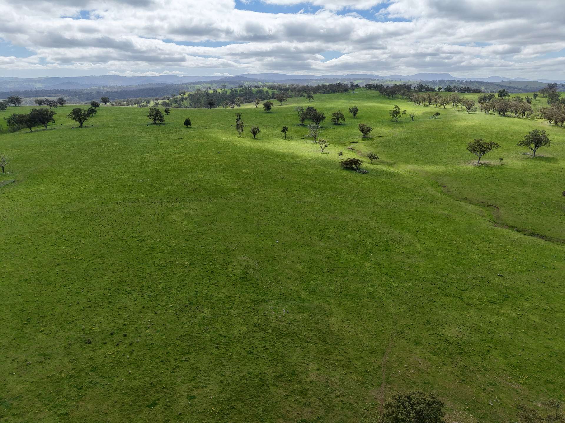 "Willunga" 700 Willunga Road, Cassilis For Sale by Farmbuy.com - image 6