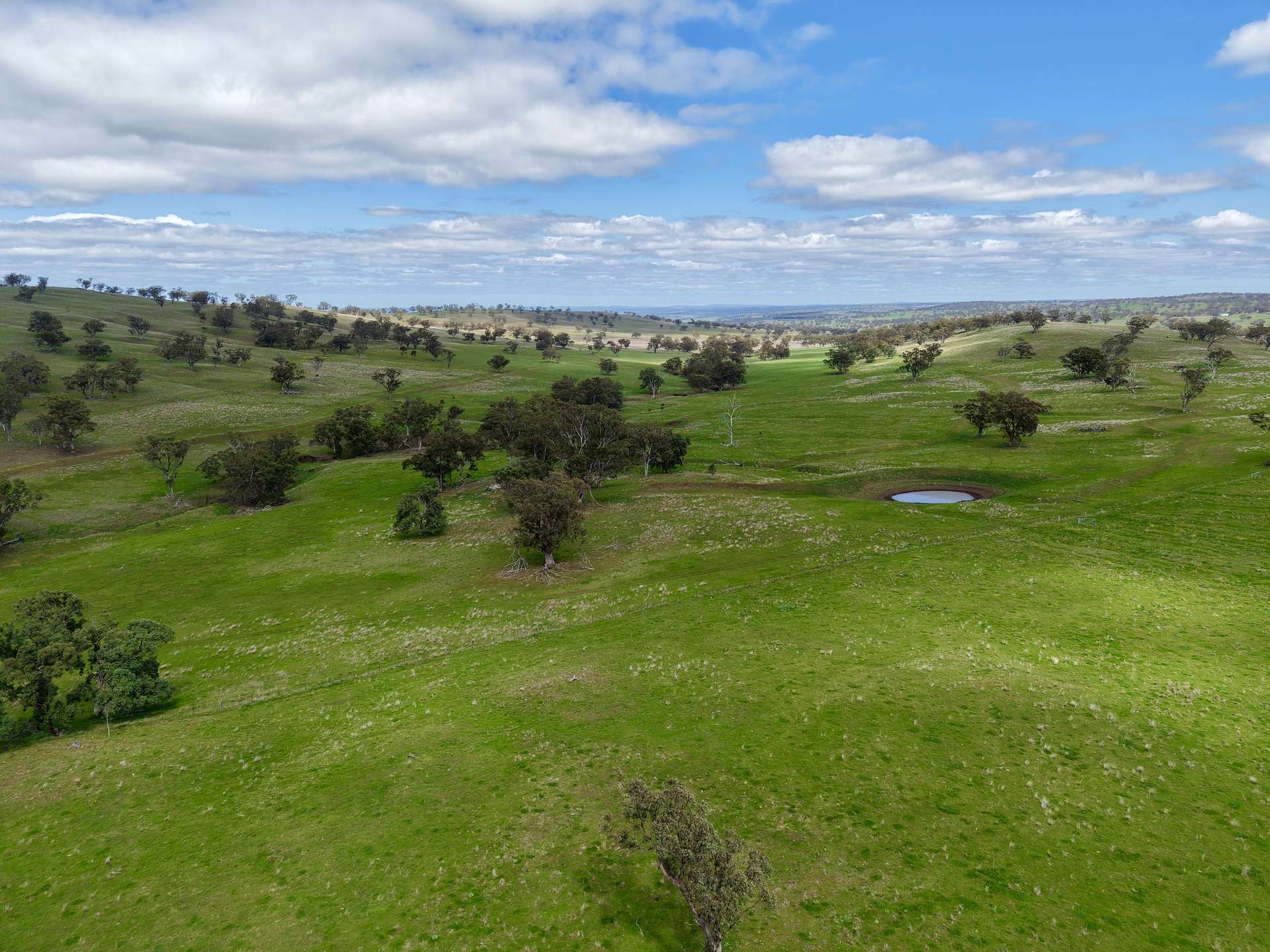 "Willunga" 700 Willunga Road, Cassilis For Sale by Farmbuy.com - image 3