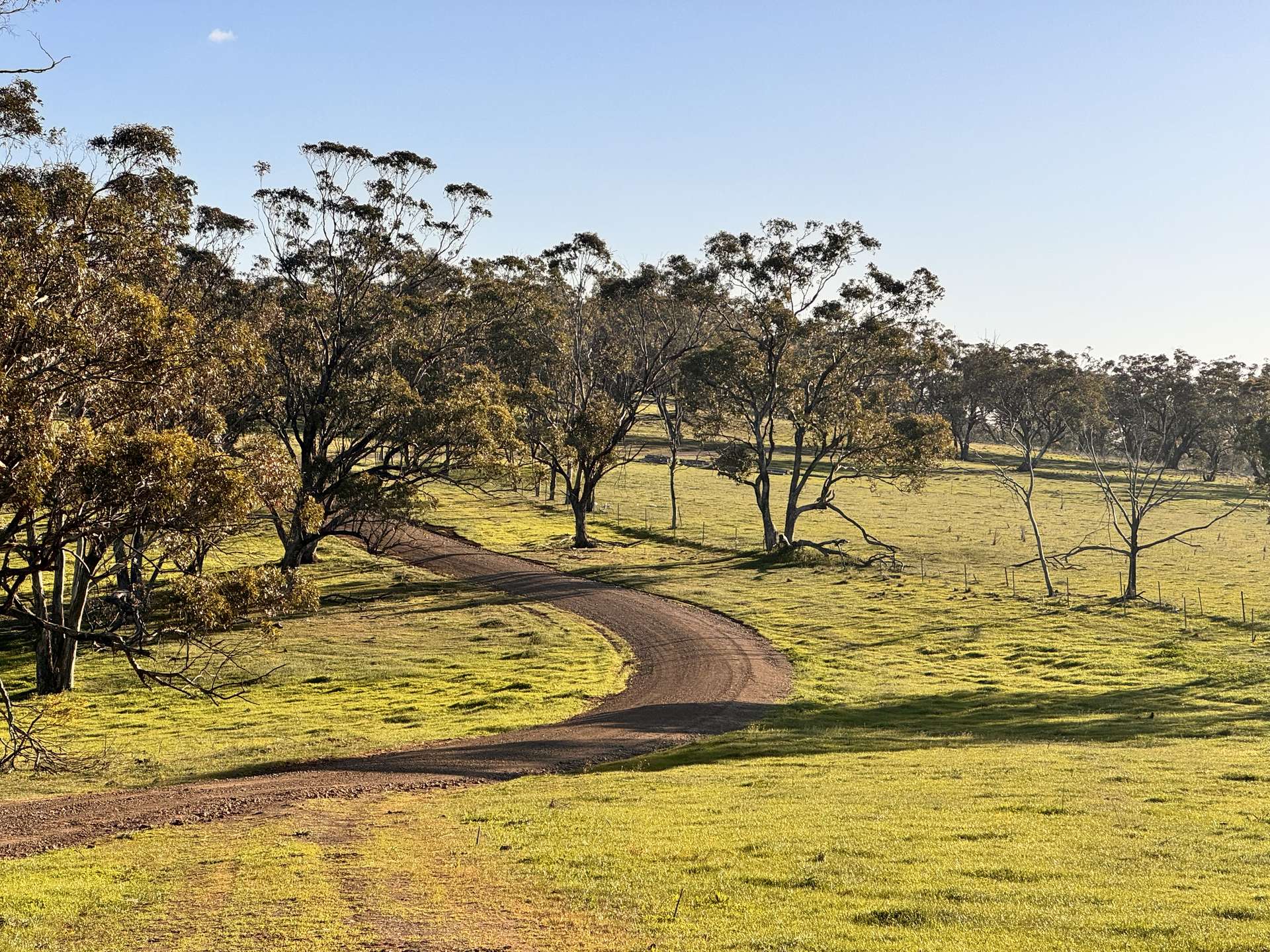 "Willunga" 700 Willunga Road, Cassilis For Sale by Farmbuy.com - image 32