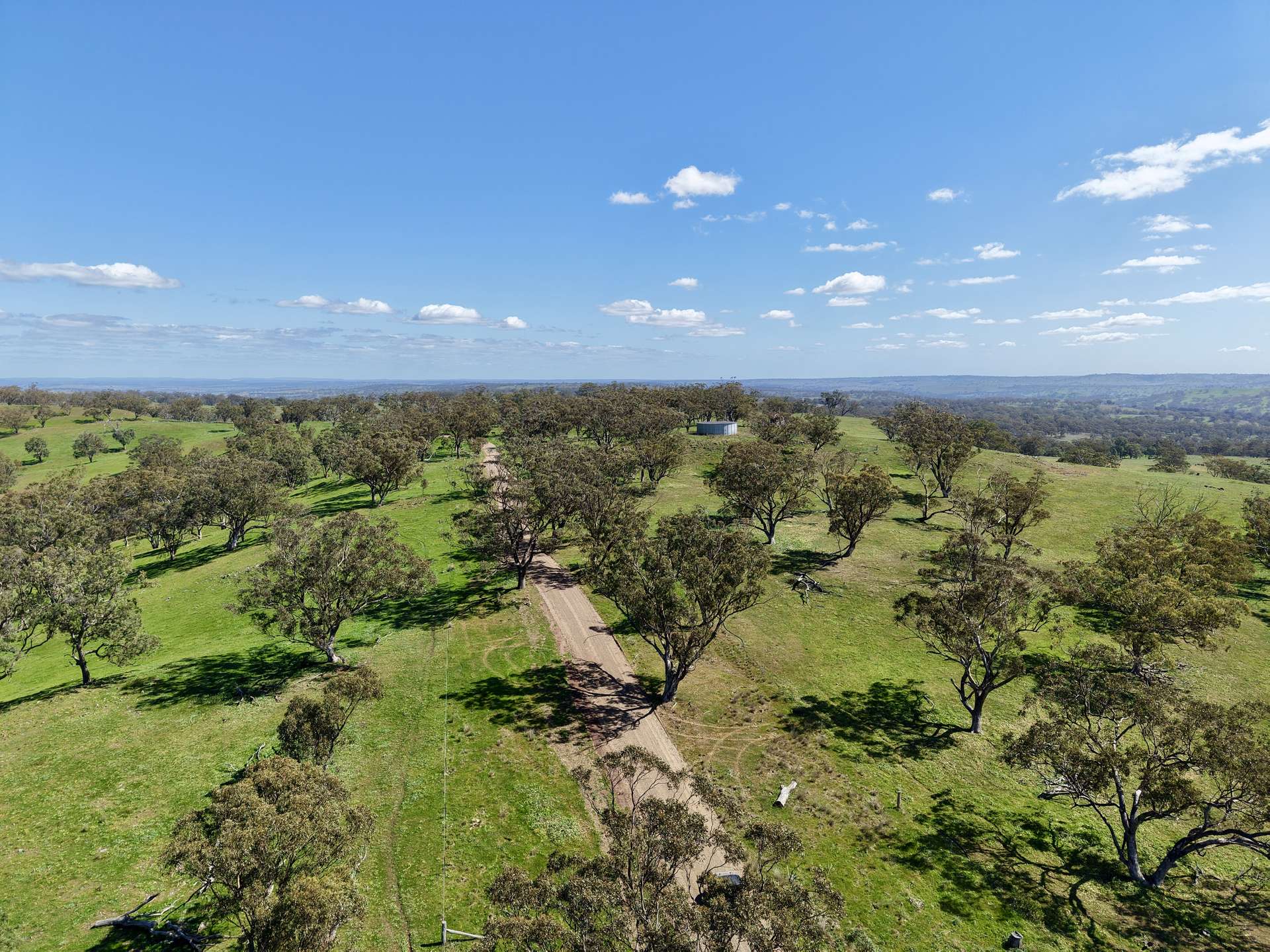 "Willunga" 700 Willunga Road, Cassilis For Sale by Farmbuy.com - image 11