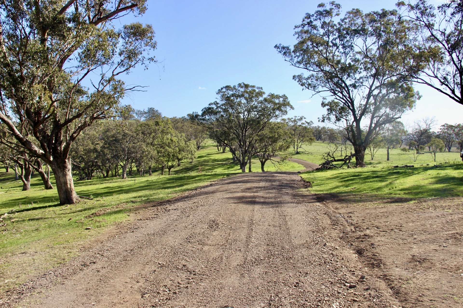 "Willunga" 700 Willunga Road, Cassilis For Sale by Farmbuy.com - image 33