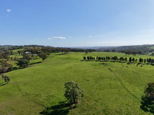 Farm For Sale - NSW - Cassilis - 2329 - "Willunga" Highly Regarded Upper Hunter Grazing Country 