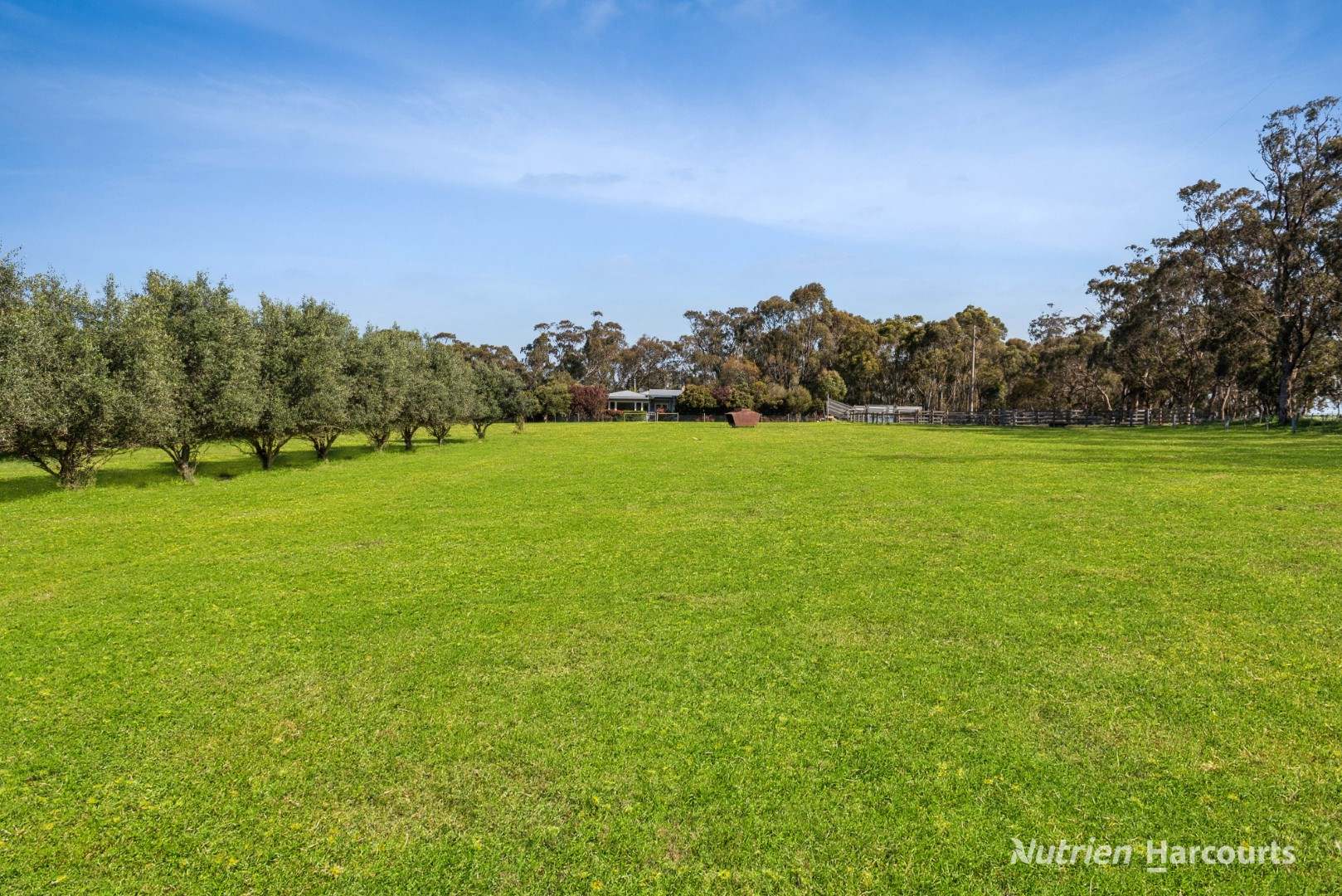 370 McGintys Road, Glenaroua For Sale by Farmbuy.com - image 19