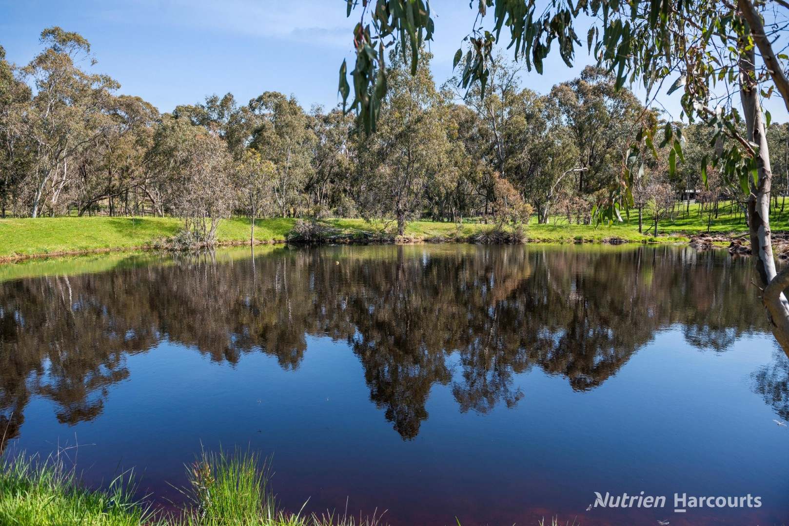 370 McGintys Road, Glenaroua For Sale by Farmbuy.com - image 16