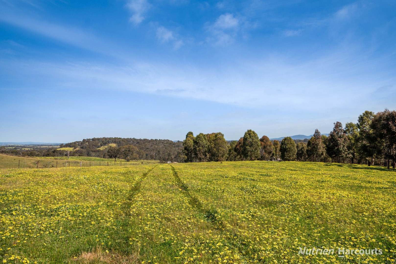 370 McGintys Road, Glenaroua For Sale by Farmbuy.com - image 17