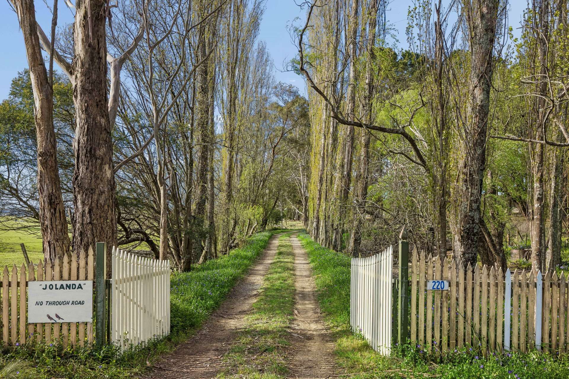 220 Narranghi Road, Braidwood For Sale by Farmbuy.com - image 6