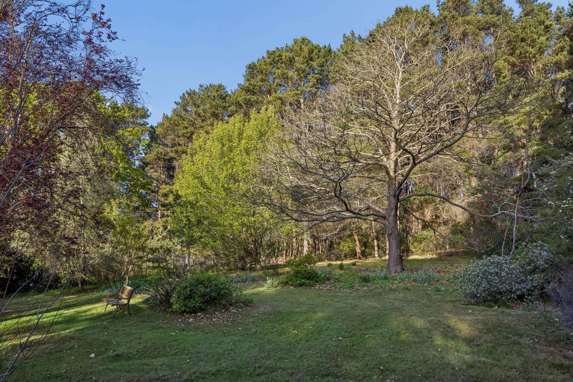220 Narranghi Road, Braidwood For Sale by Farmbuy.com - image 32