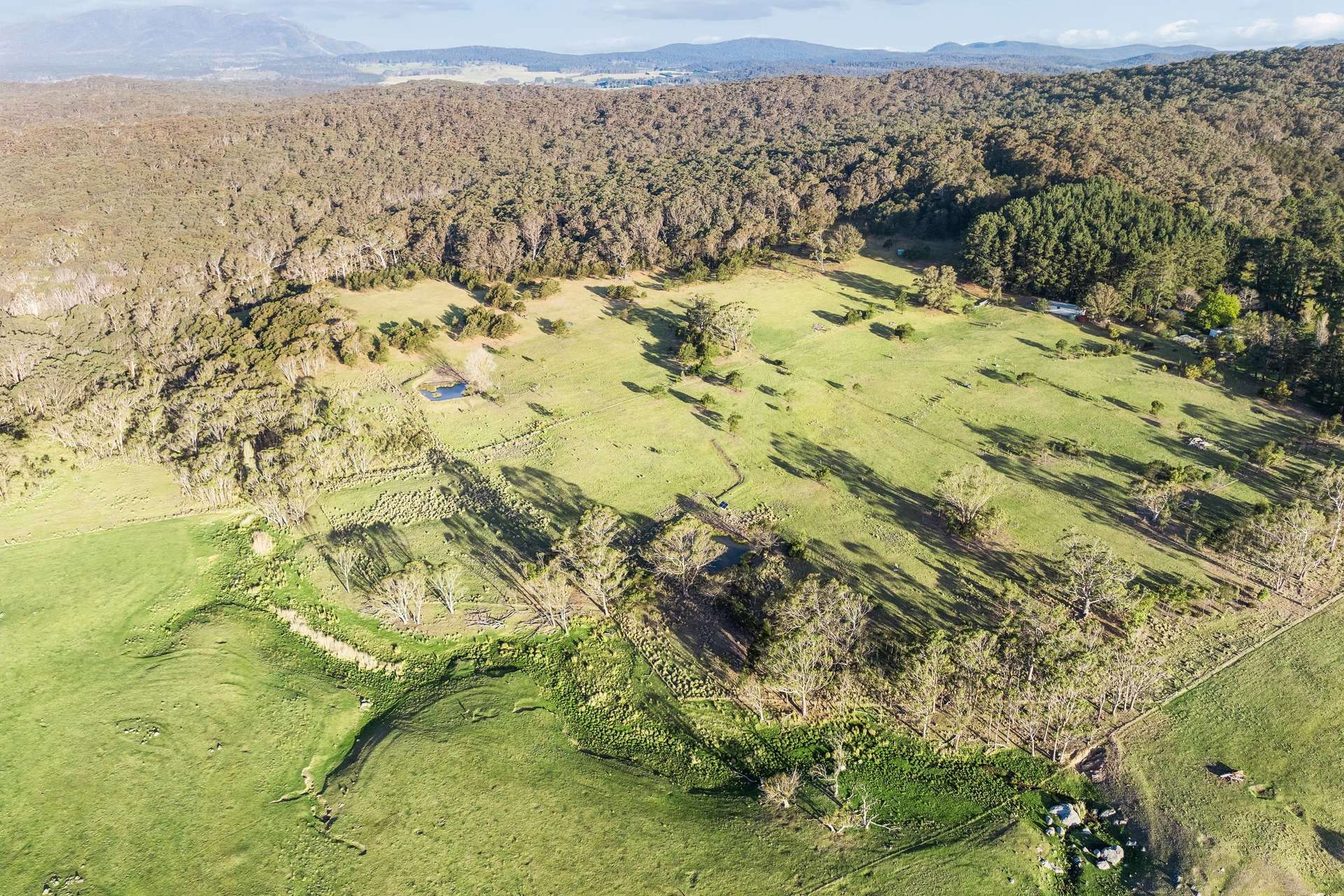 220 Narranghi Road, Braidwood For Sale by Farmbuy.com - image 35