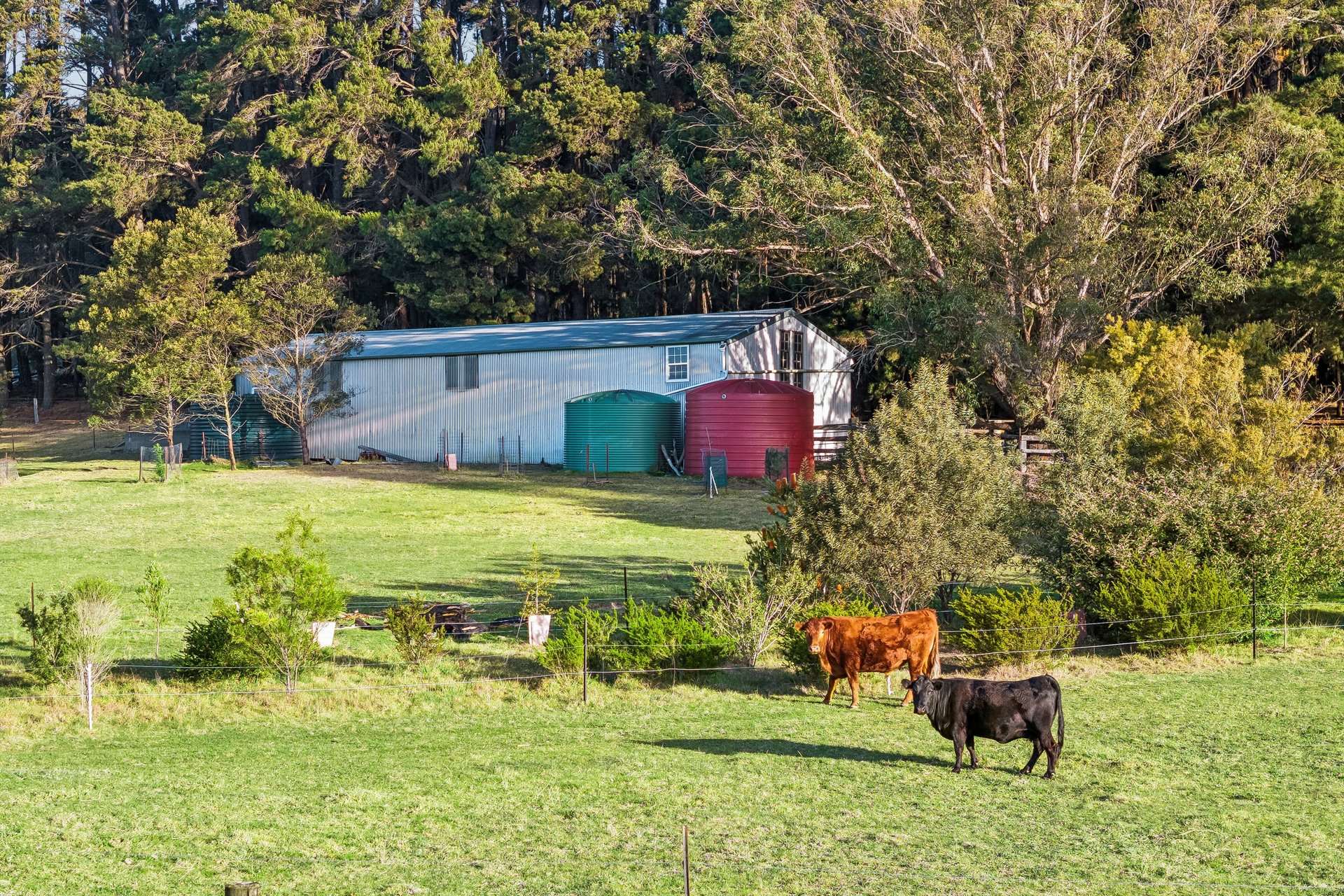 220 Narranghi Road, Braidwood For Sale by Farmbuy.com - image 24