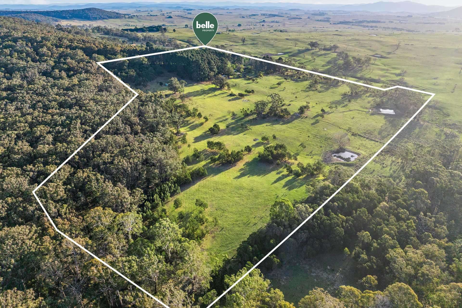 220 Narranghi Road, Braidwood For Sale by Farmbuy.com - image 5