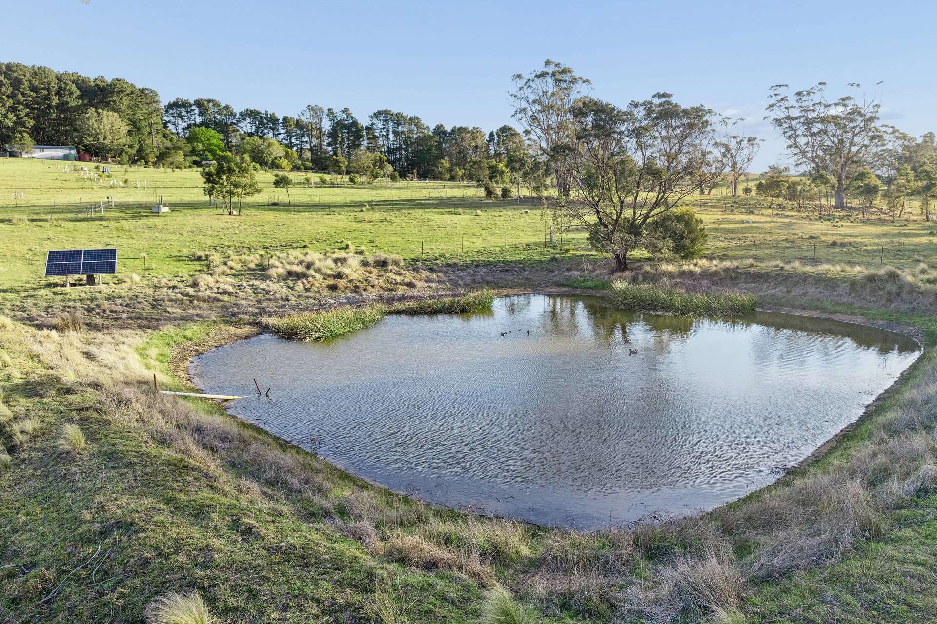 220 Narranghi Road, Braidwood For Sale by Farmbuy.com - image 27