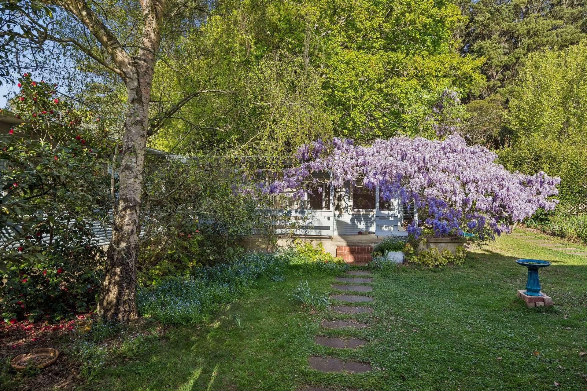 220 Narranghi Road, Braidwood For Sale by Farmbuy.com - image 16