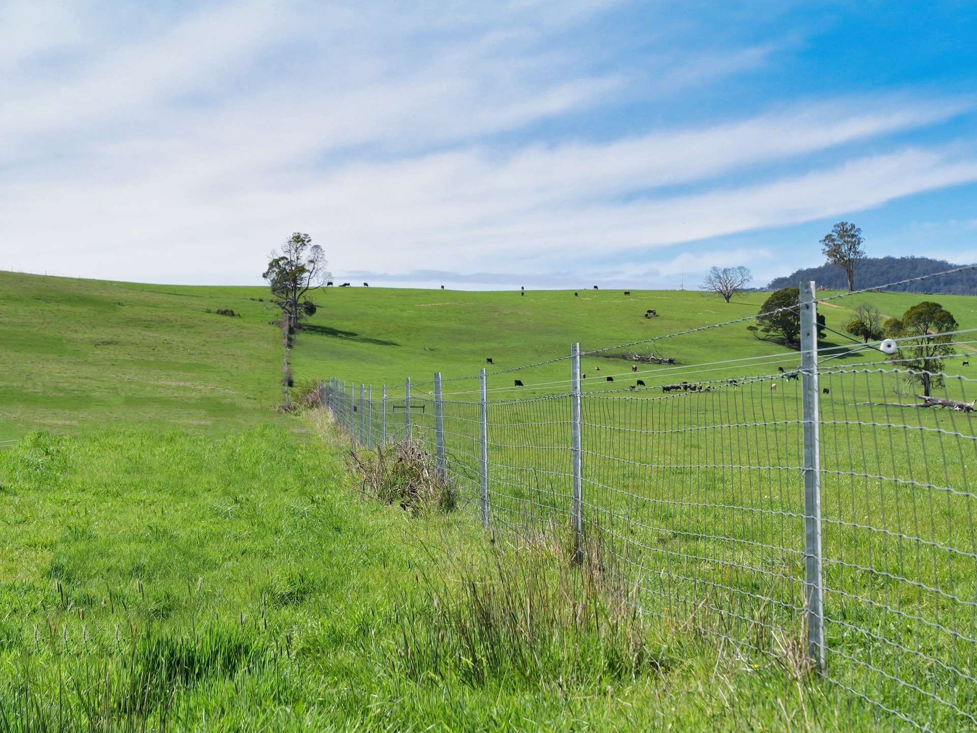 40 Davies Road, Parkham For Sale by Farmbuy.com - image 6