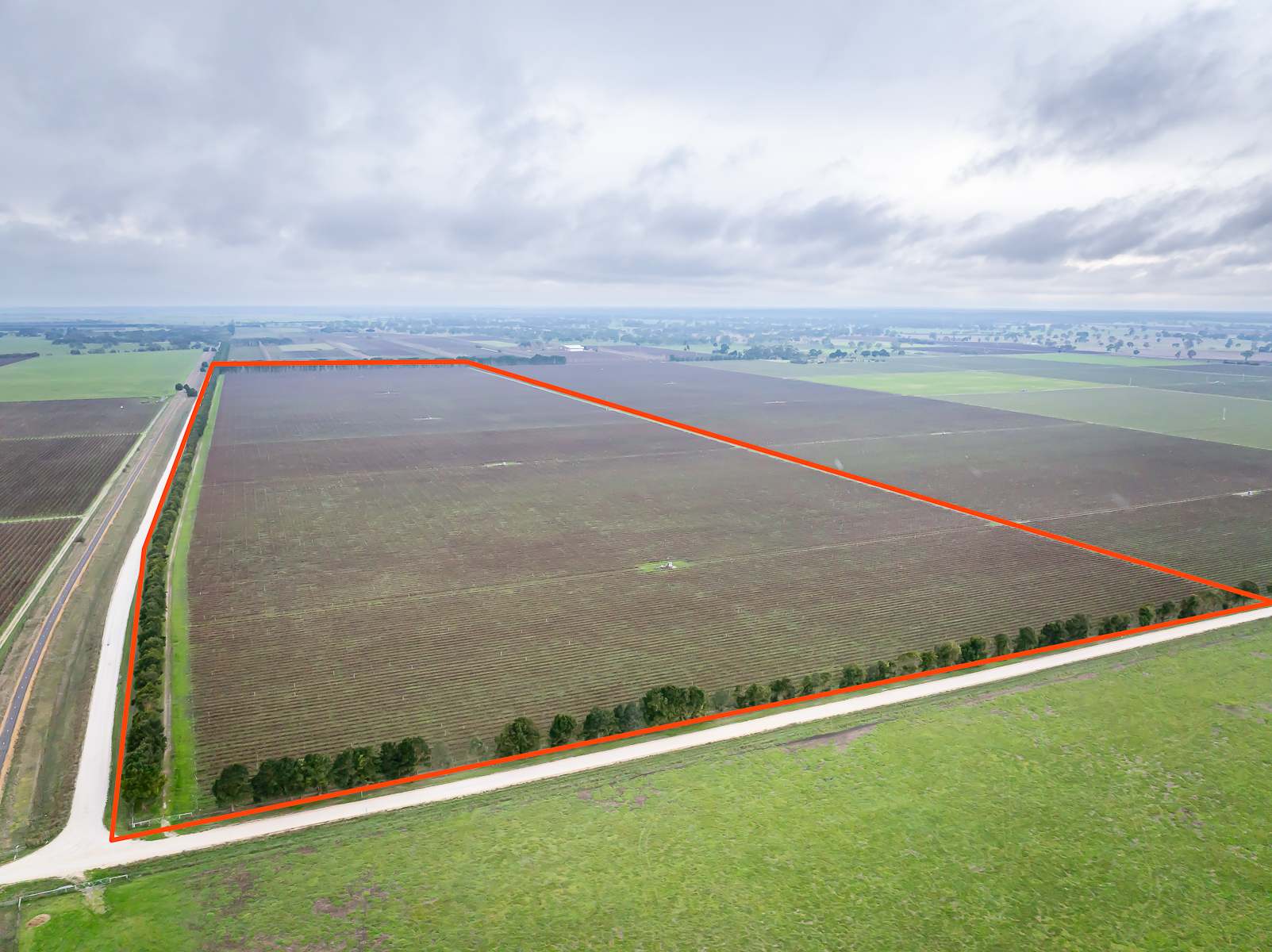Lot 729 McBain Road, Coonawarra For Sale by Farmbuy.com - image 4