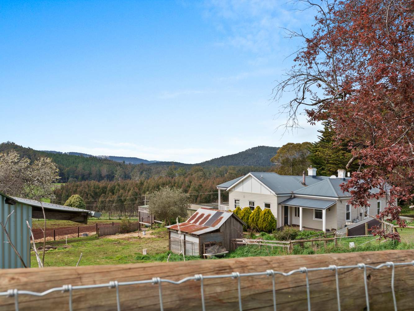 209 Paradise Road, Paradise For Sale by Farmbuy.com - image 31